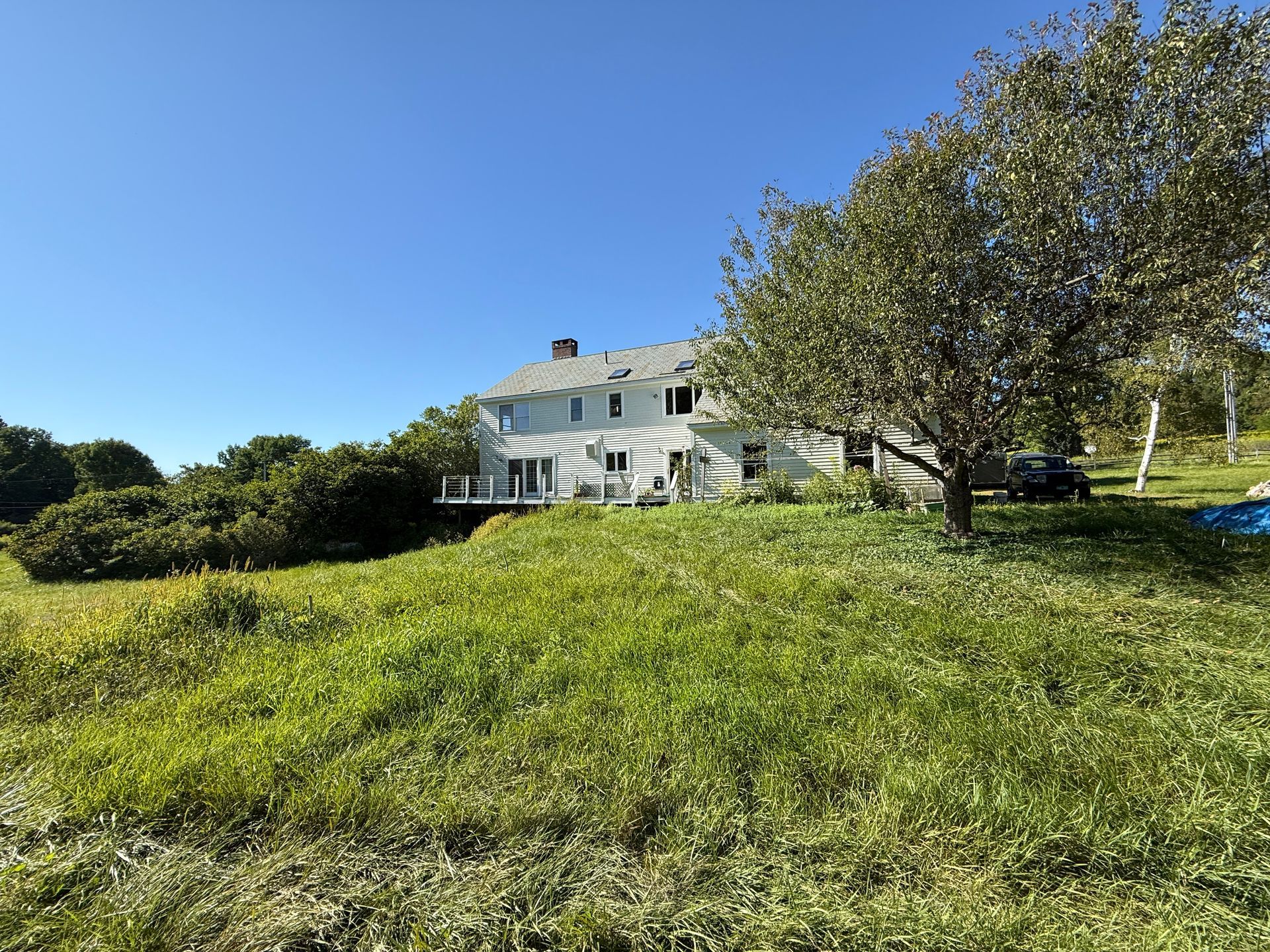 White house on a grassy hill under a blue sky, with a tree and bushes in the foreground.