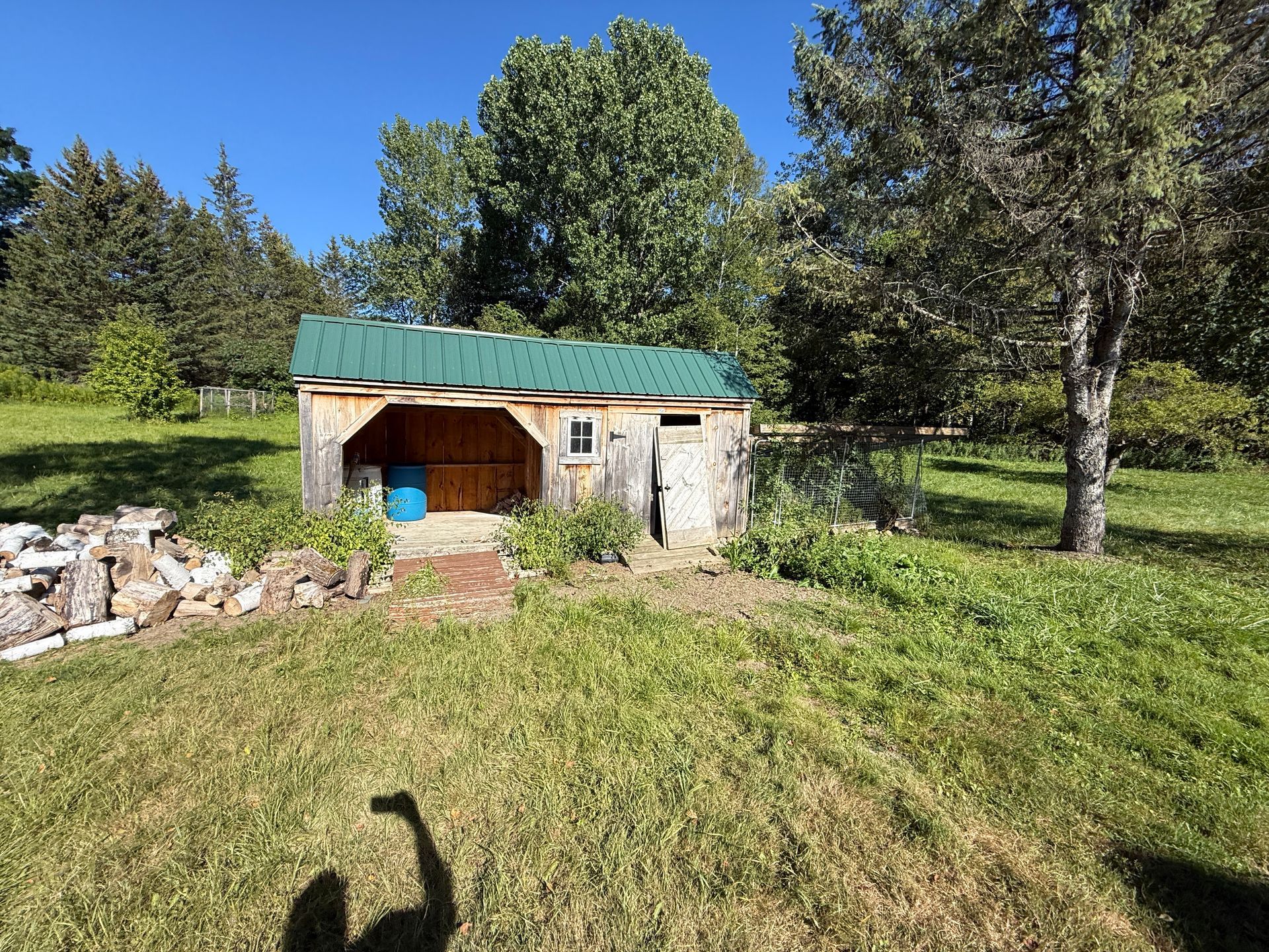 Shed with green roof, open front, blue barrel inside, surrounded by grass, trees, and blue sky.