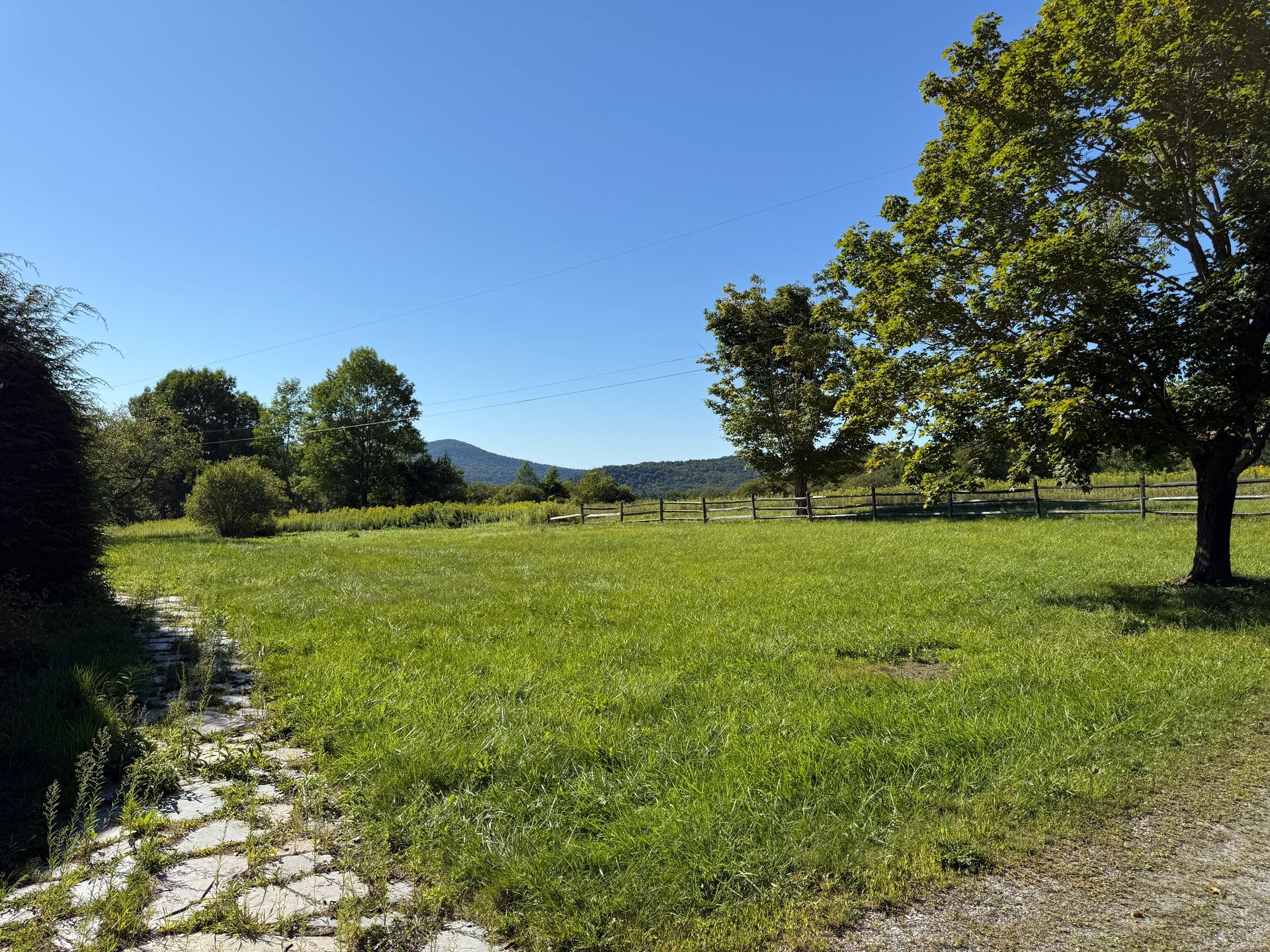 Grassy field with trees under a blue sky, mountains in the distance.