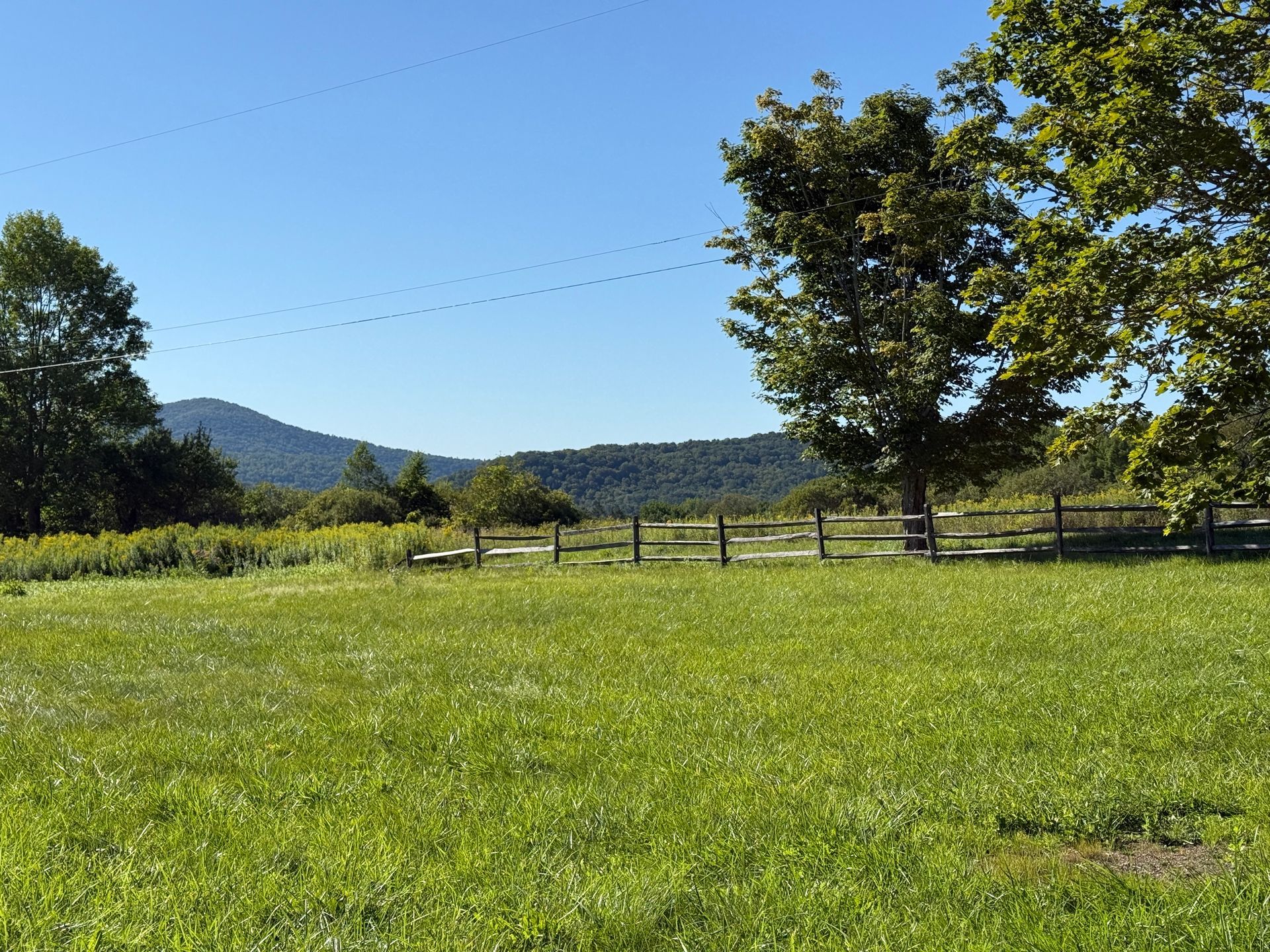 Green field with wooden fence, trees, and mountains under a blue sky.