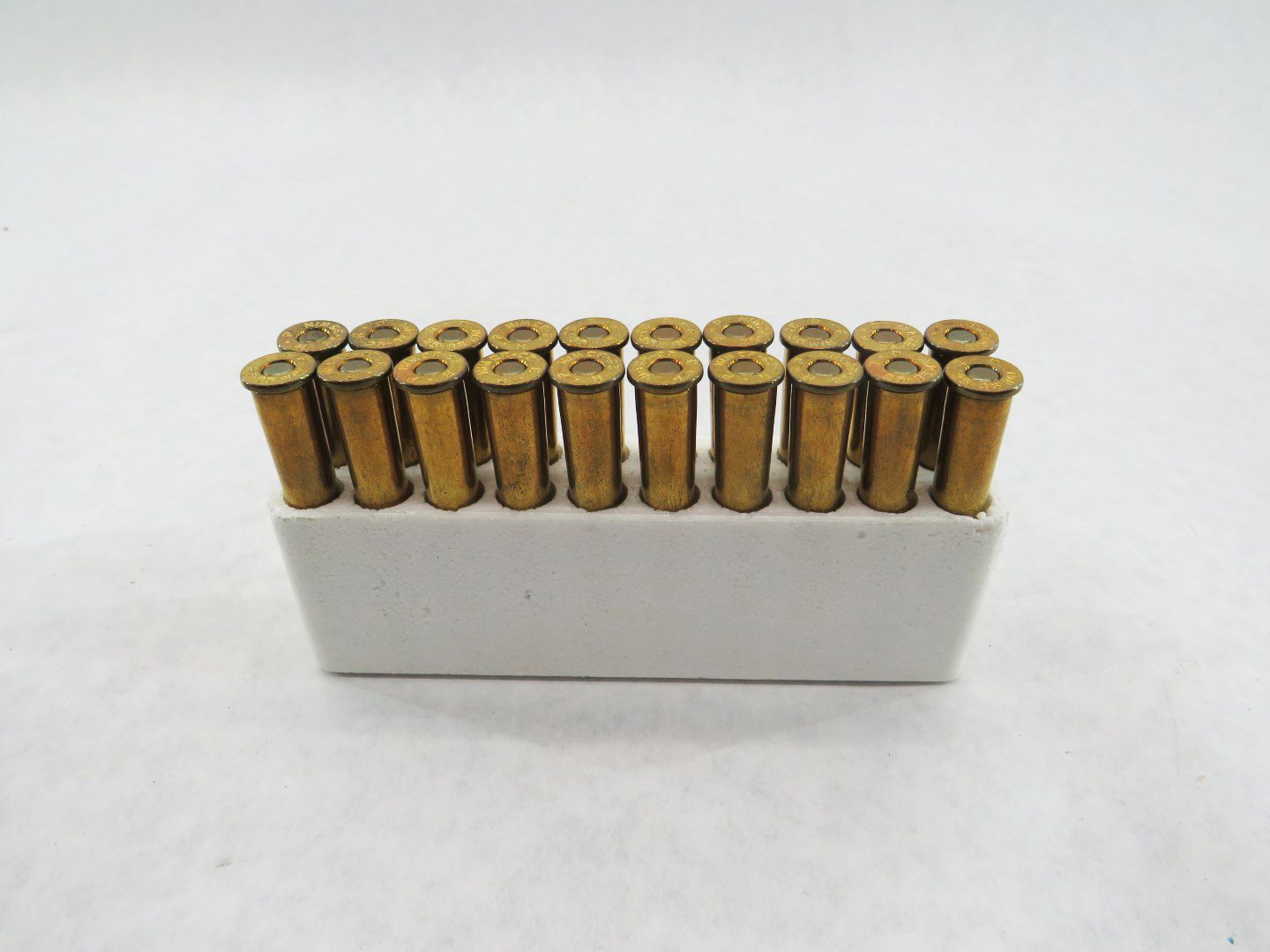 Brass cartridge casings in a white rectangular box against a white background.