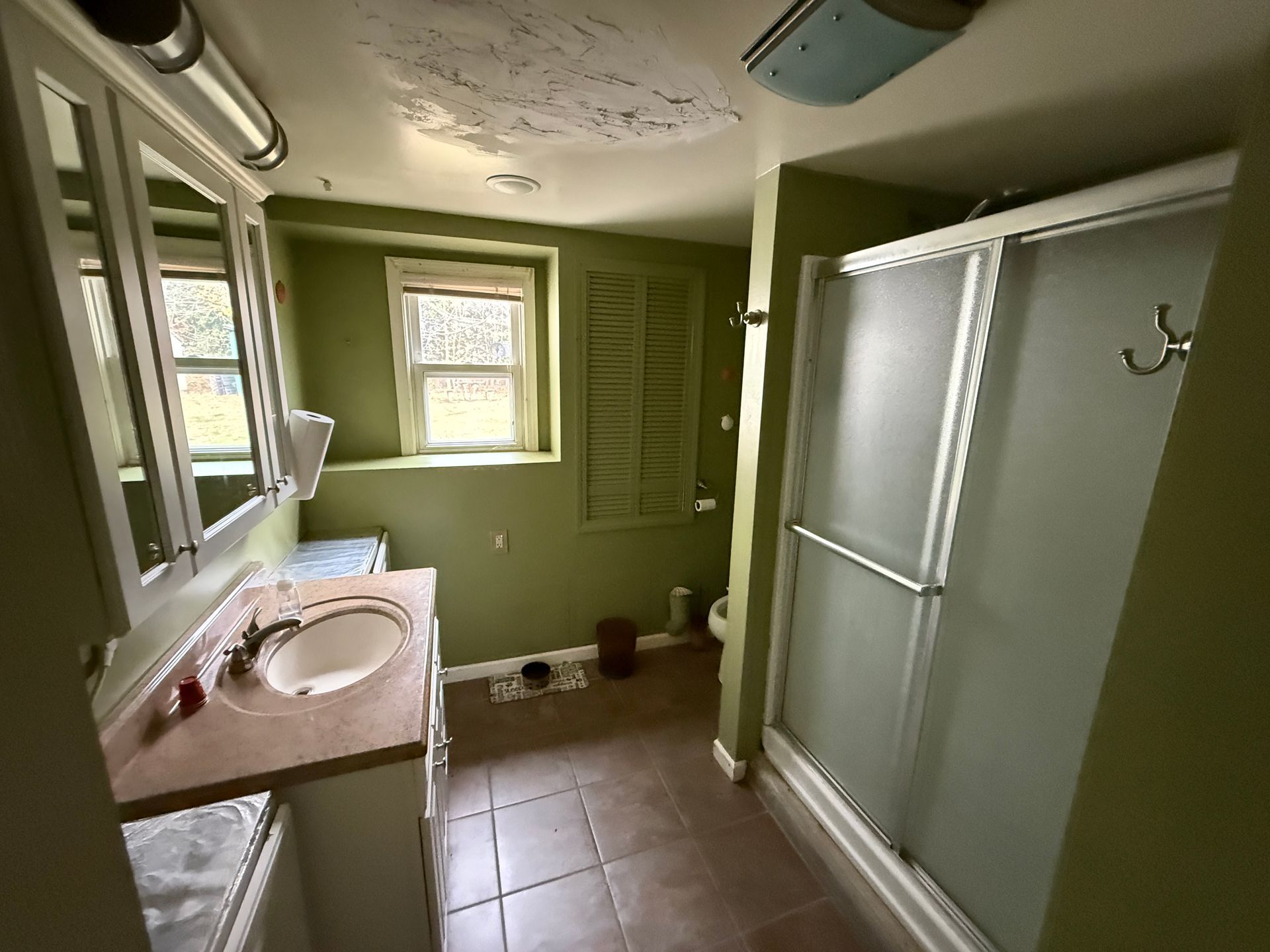 Bathroom with a shower, vanity, and toilet; green walls, brown tile floor, white cabinets.