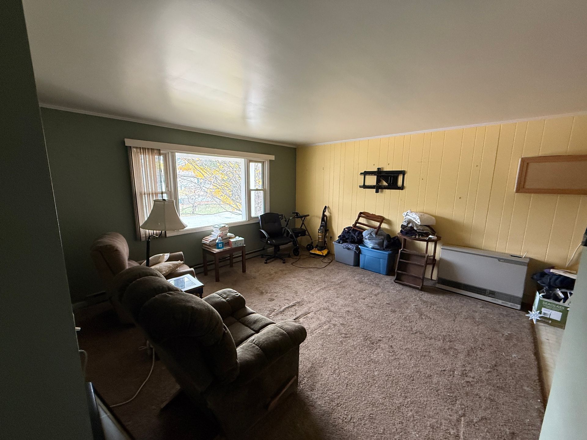 Living room with carpet, green and yellow walls, furniture, and a window.