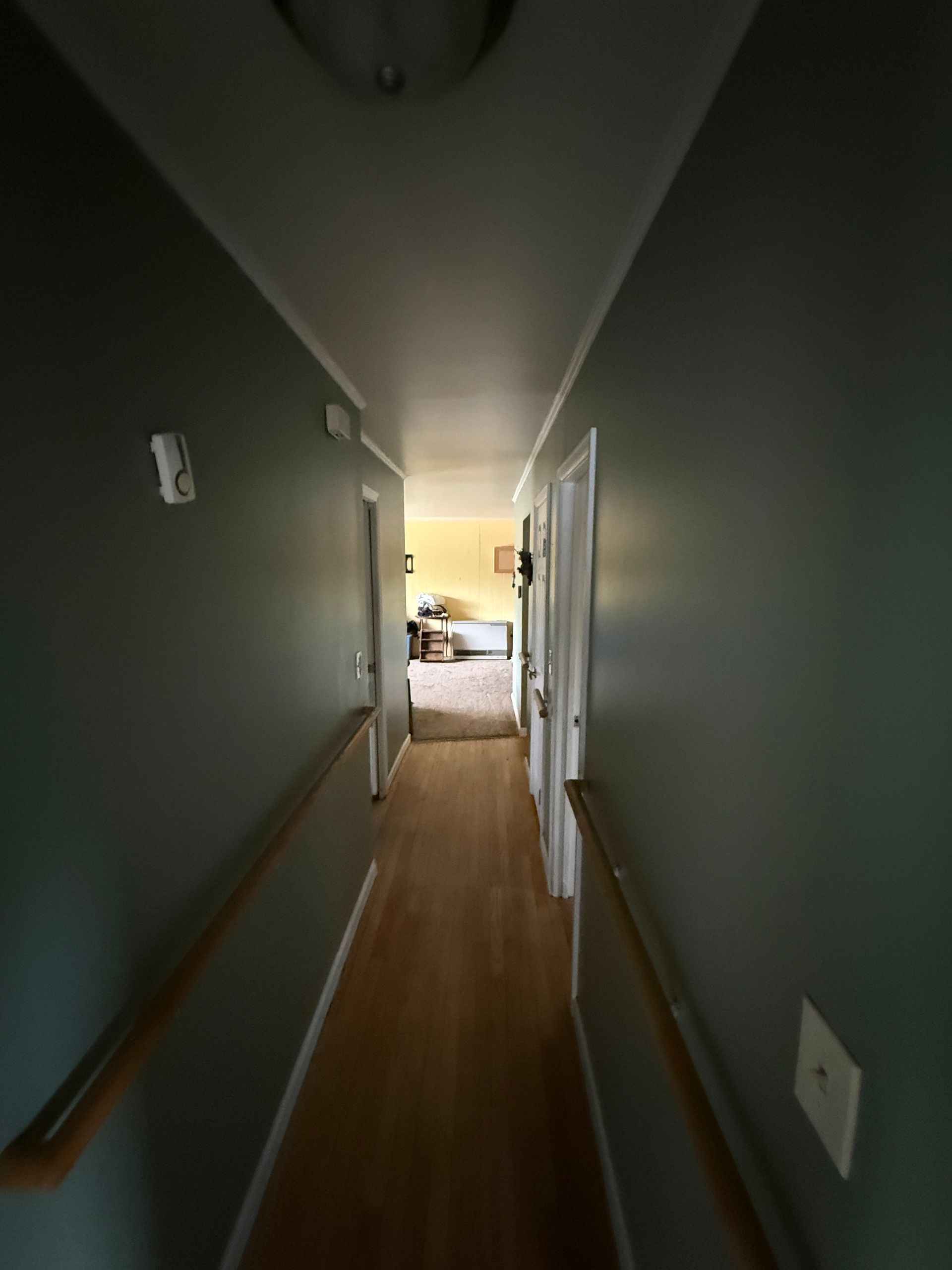 Narrow hallway with wood floor, green walls, white doors, and a room at the end.