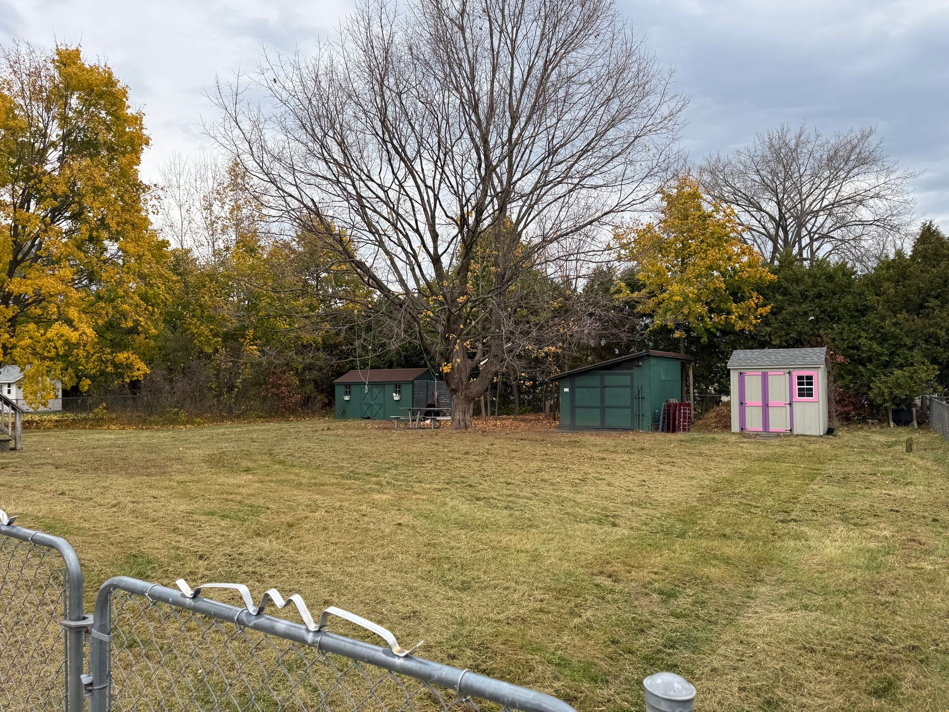 Grassy yard with three sheds, trees with yellow leaves, cloudy sky, metal fence.