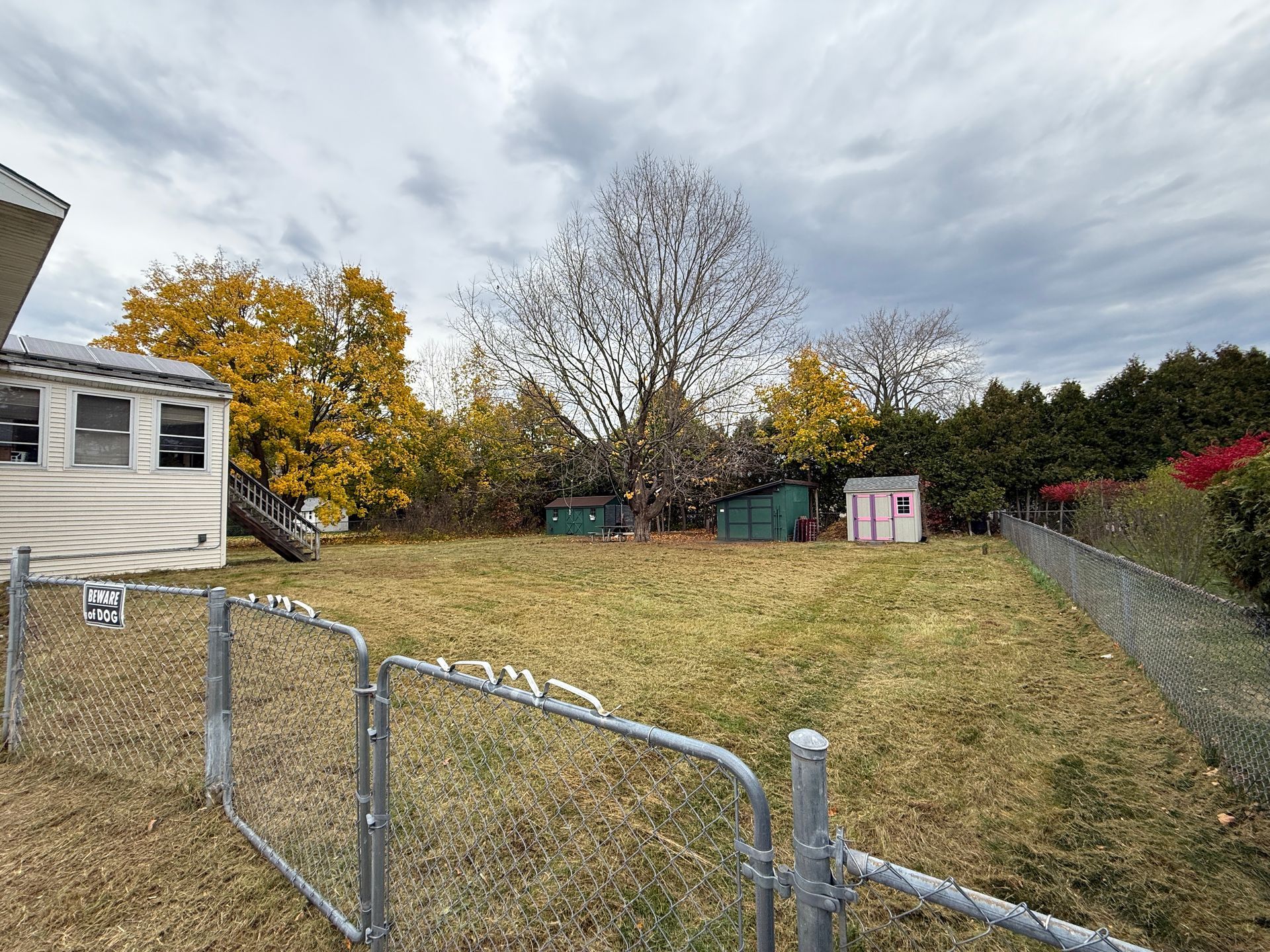 Backyard with chain-link fence, overgrown lawn, small sheds, trees with autumn foliage, and a cloudy sky.