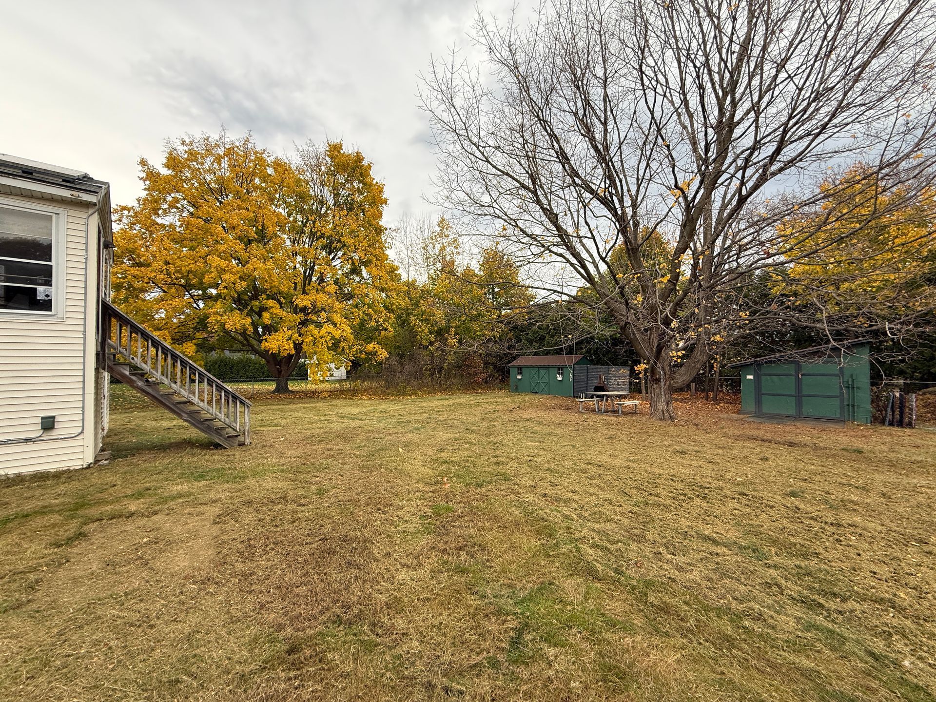 Grassy backyard with autumn trees; a weathered house and two green sheds are in view.