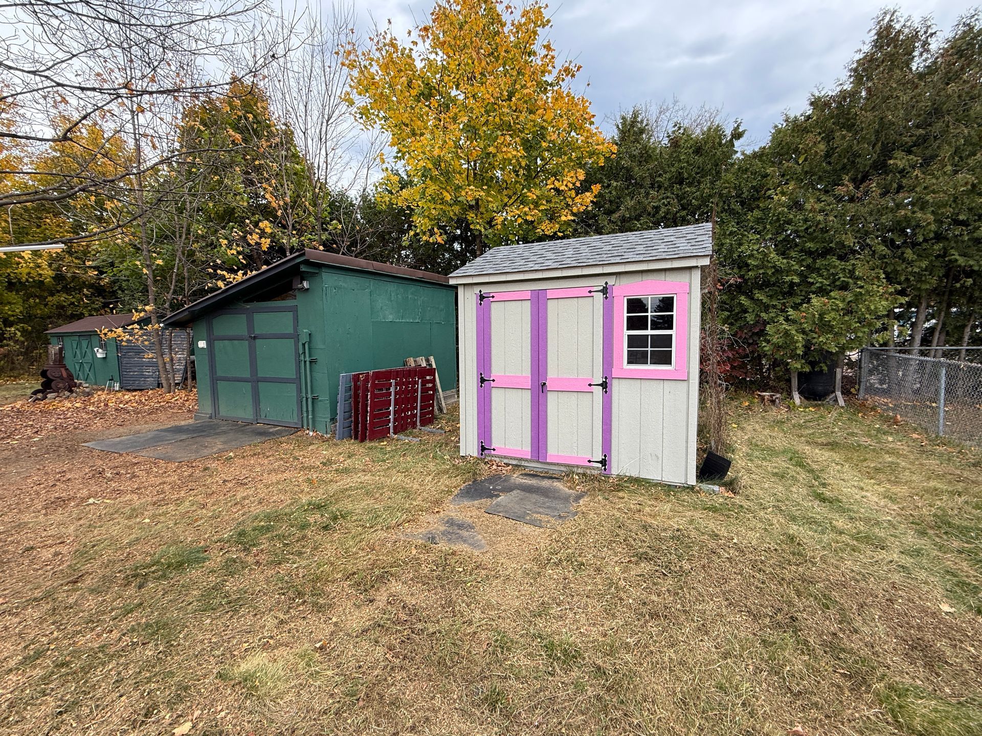 A small, white shed with pink trim stands beside a larger green shed on a lawn with autumn leaves.