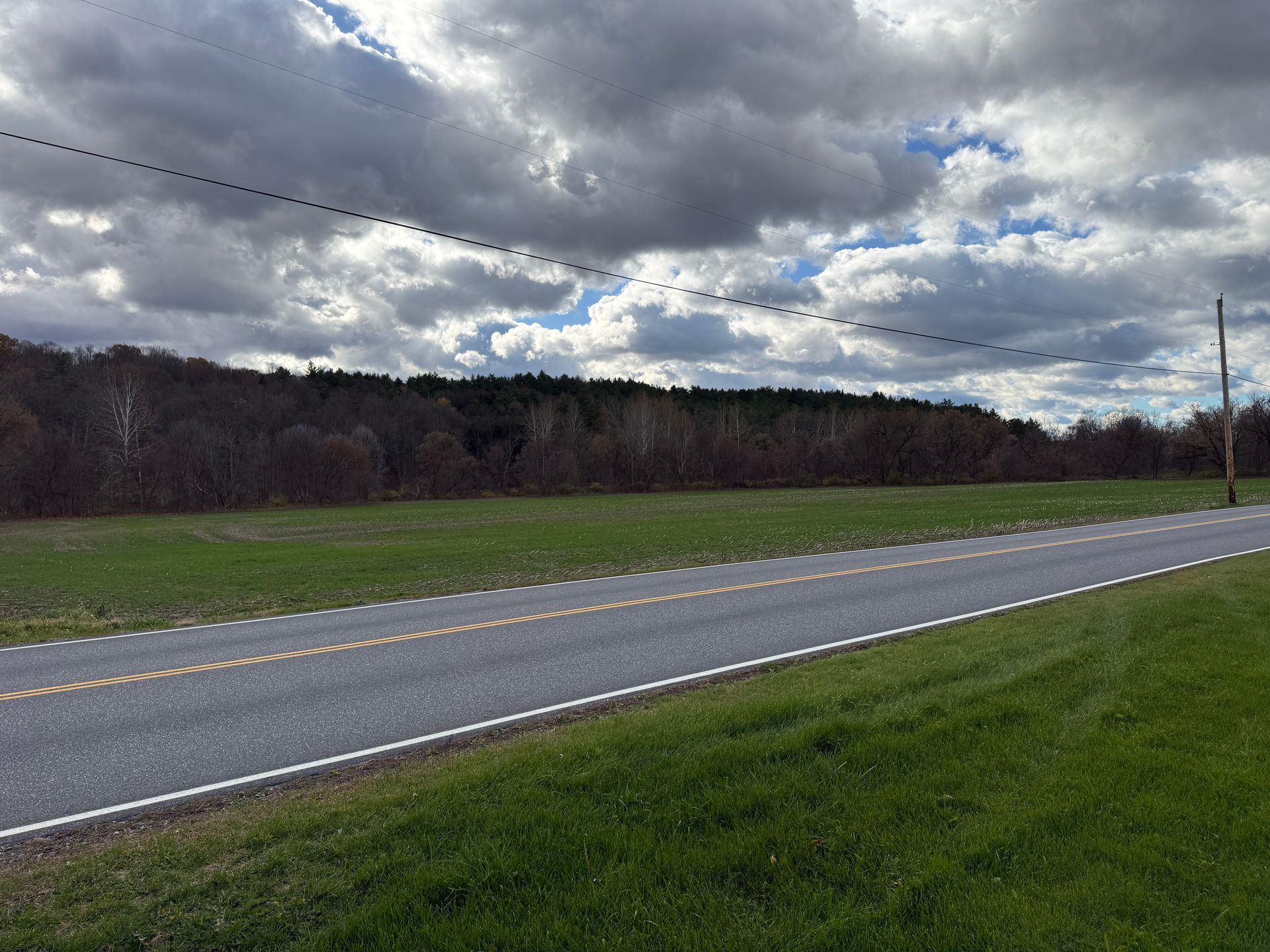 A road curves through a grassy field towards a tree line under a cloudy sky.