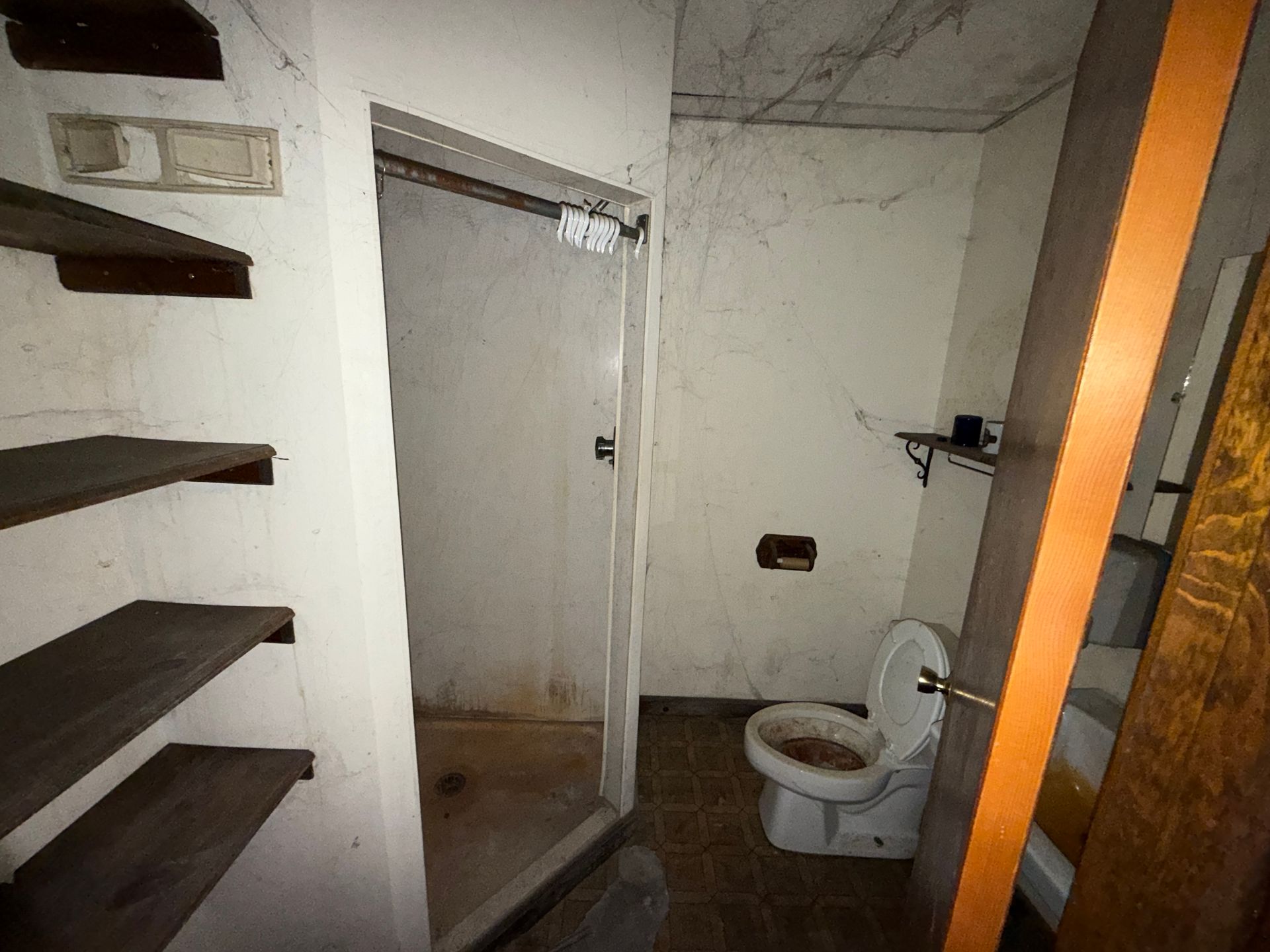 Bathroom with toilet, shower, and shelves. White walls, wood shelves and door.