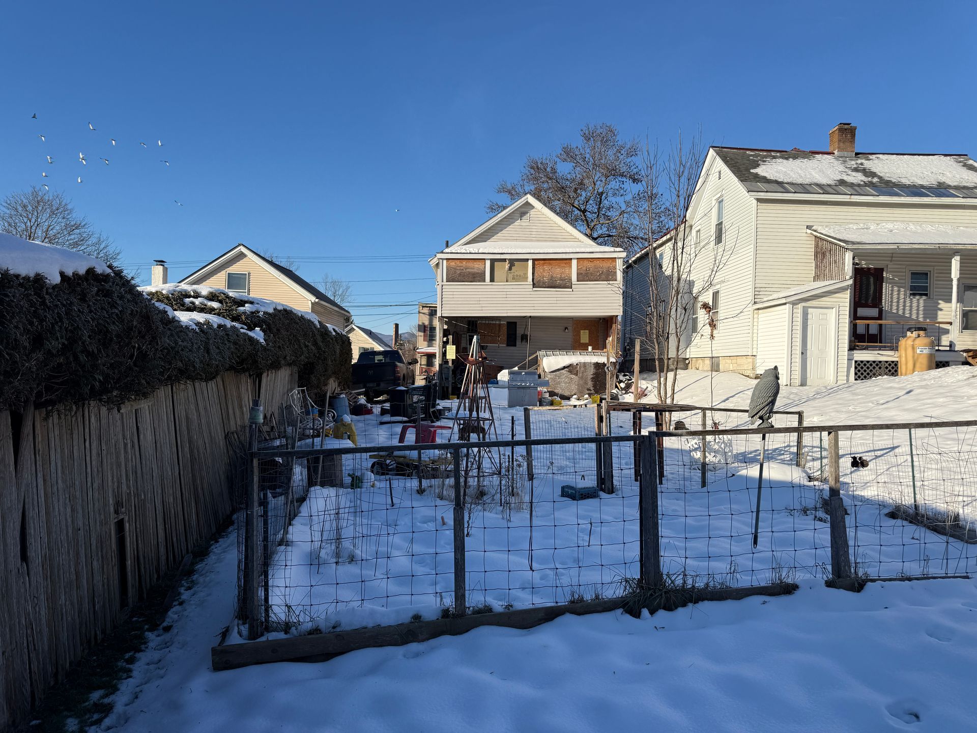 Snowy backyard scene with houses and a garden fence under a clear blue sky.