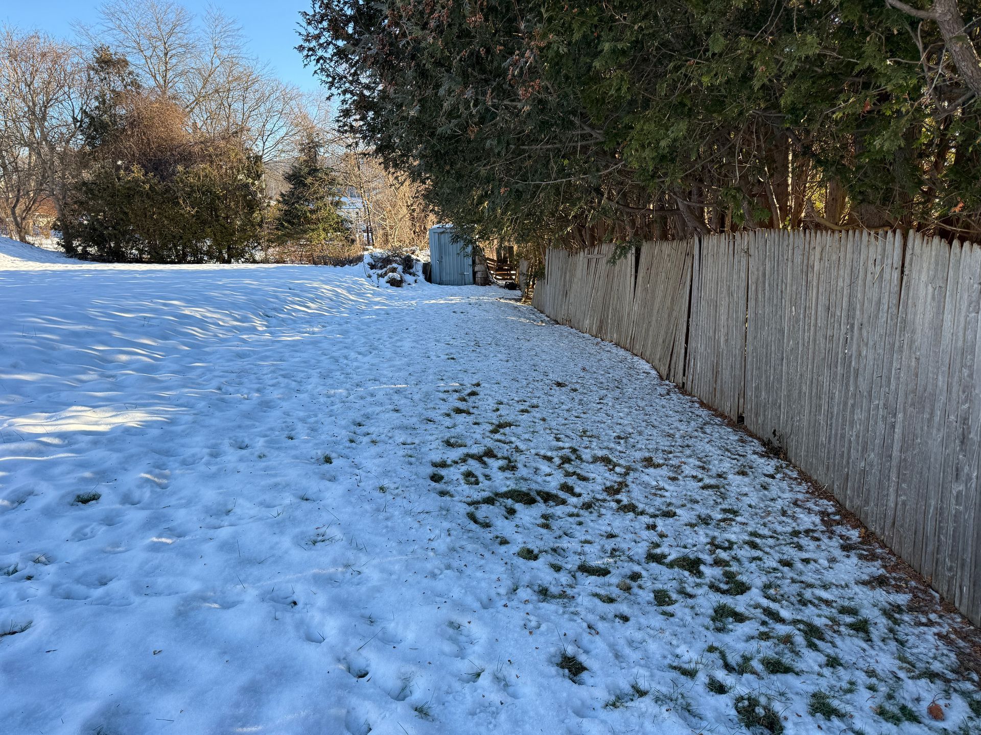 Snow-covered backyard with a wooden fence on the right and trees in the background under a sunny blue sky.