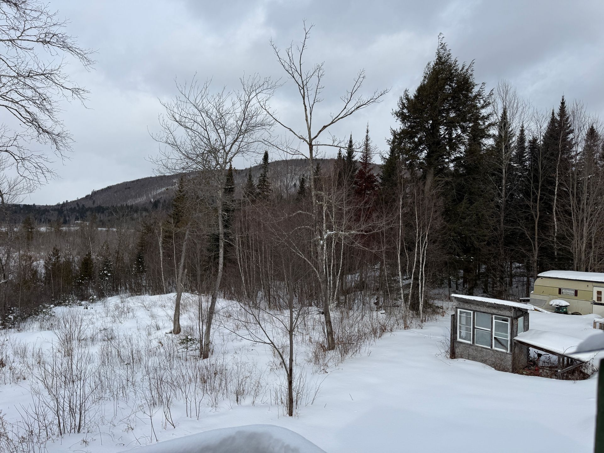 Snowy landscape with bare trees, evergreen forest, and a mountain in the background. A small building is on the right.