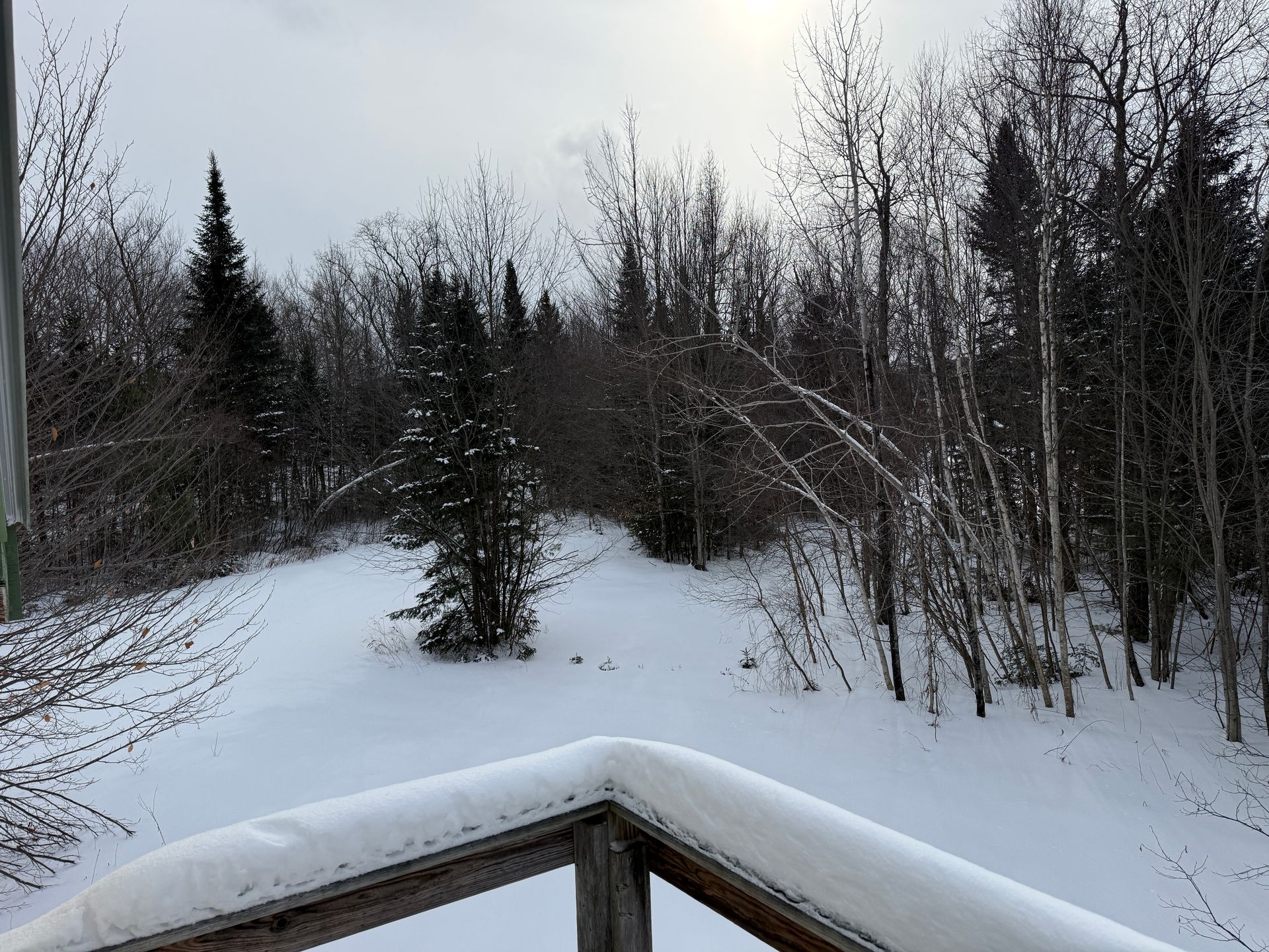 Snow-covered landscape with bare trees and evergreens. Snowy wooden railing in foreground. Overcast sky.