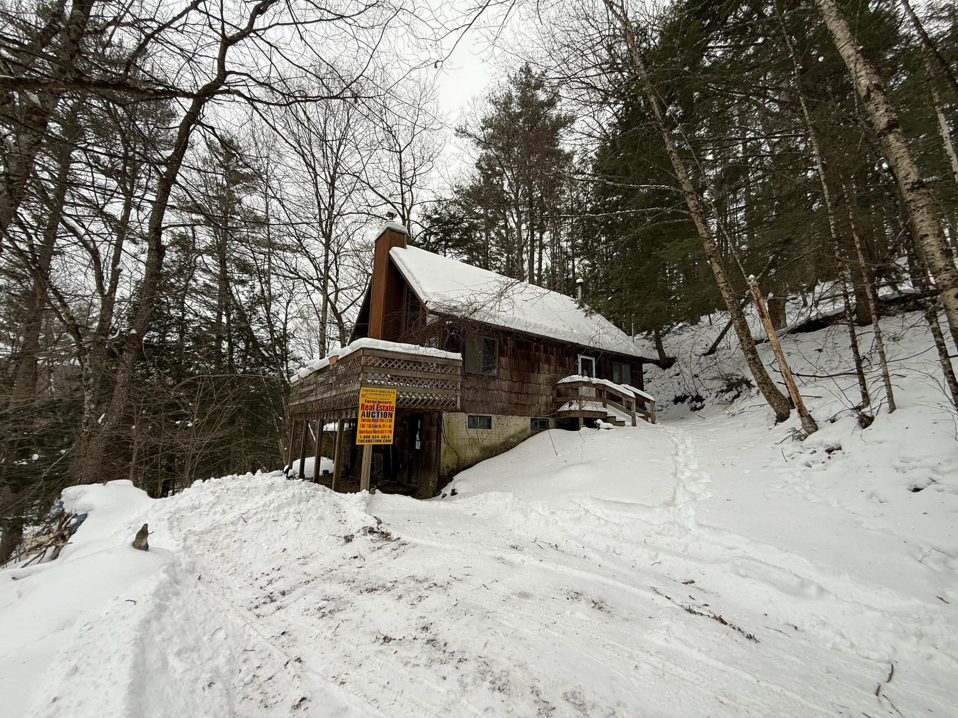 Cabin nestled in snowy woods; 