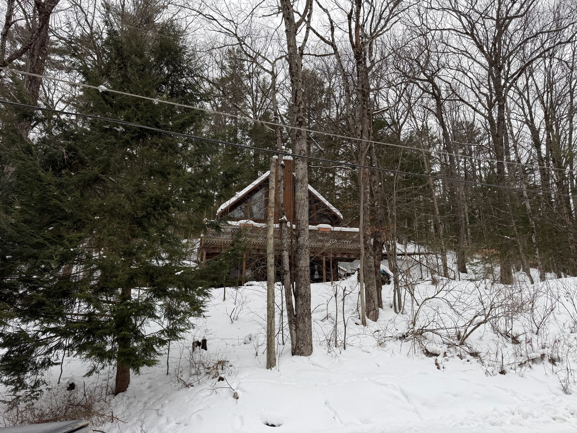 Snowy scene: cabin nestled among trees, snow-covered ground.