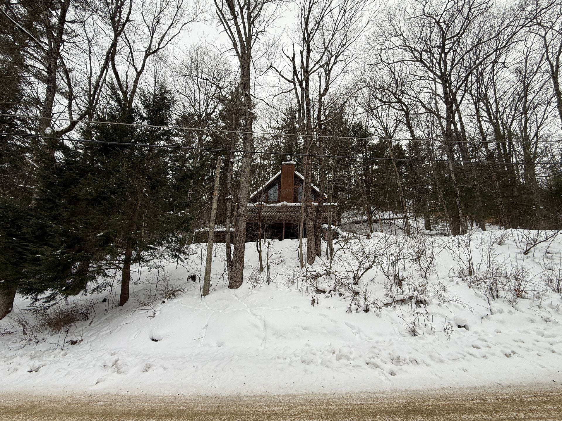 Snowy cabin in a forest, trees surround the house, winter scene.