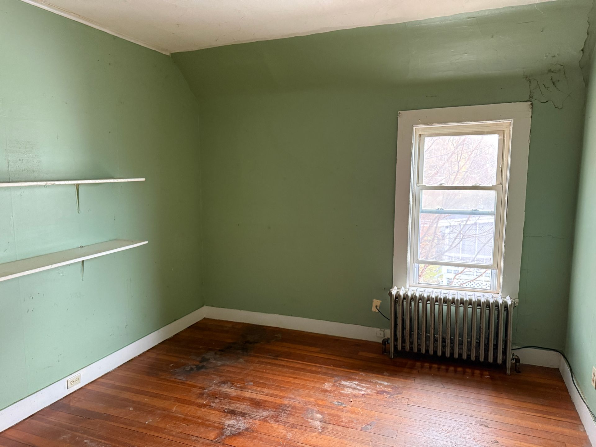 Empty room with sage green walls, hardwood floors, two wall-mounted shelves, and a window with a radiator beneath it.
