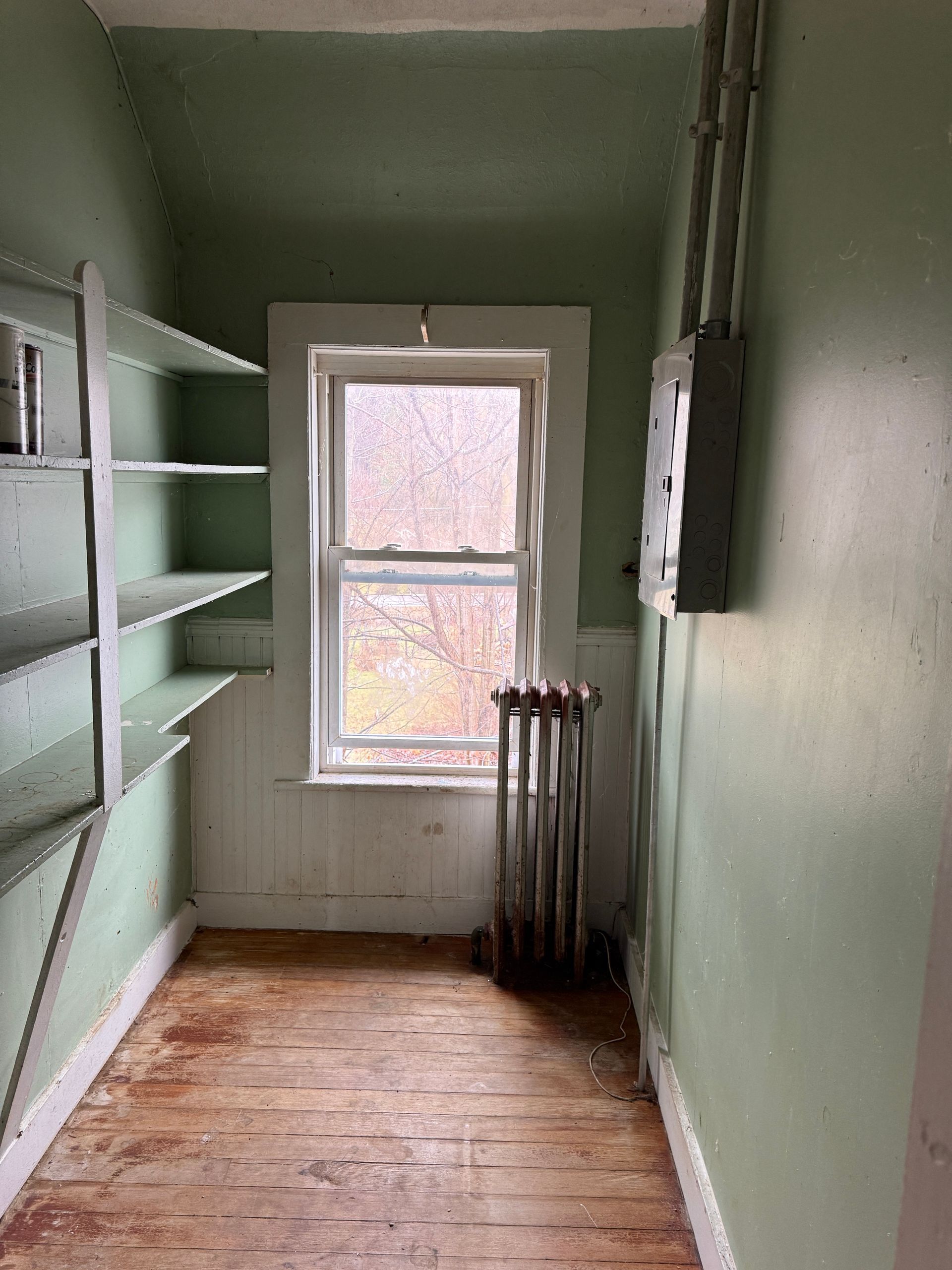 A narrow room with sage green walls, wood floors, wall shelves, a central window, and a metal radiator.