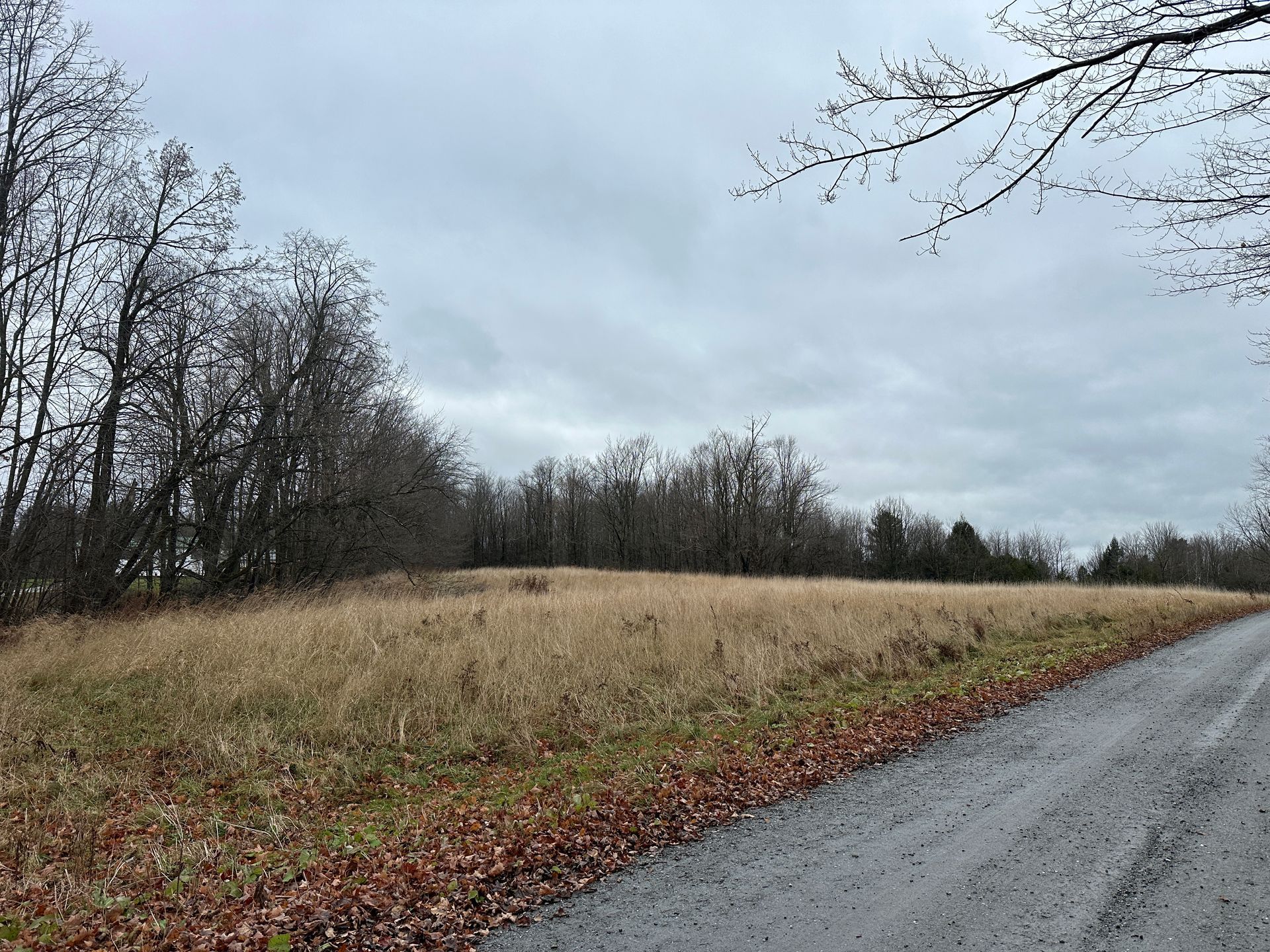4.2 acre property offering peaceful rural setting