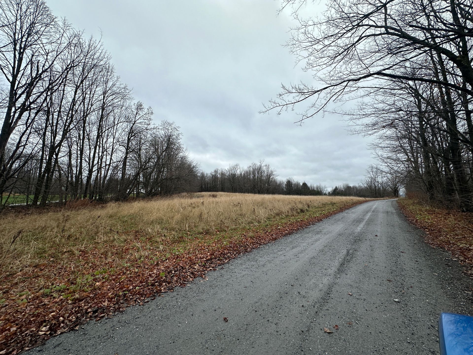 Northern Vermont land with access to open and wooded space