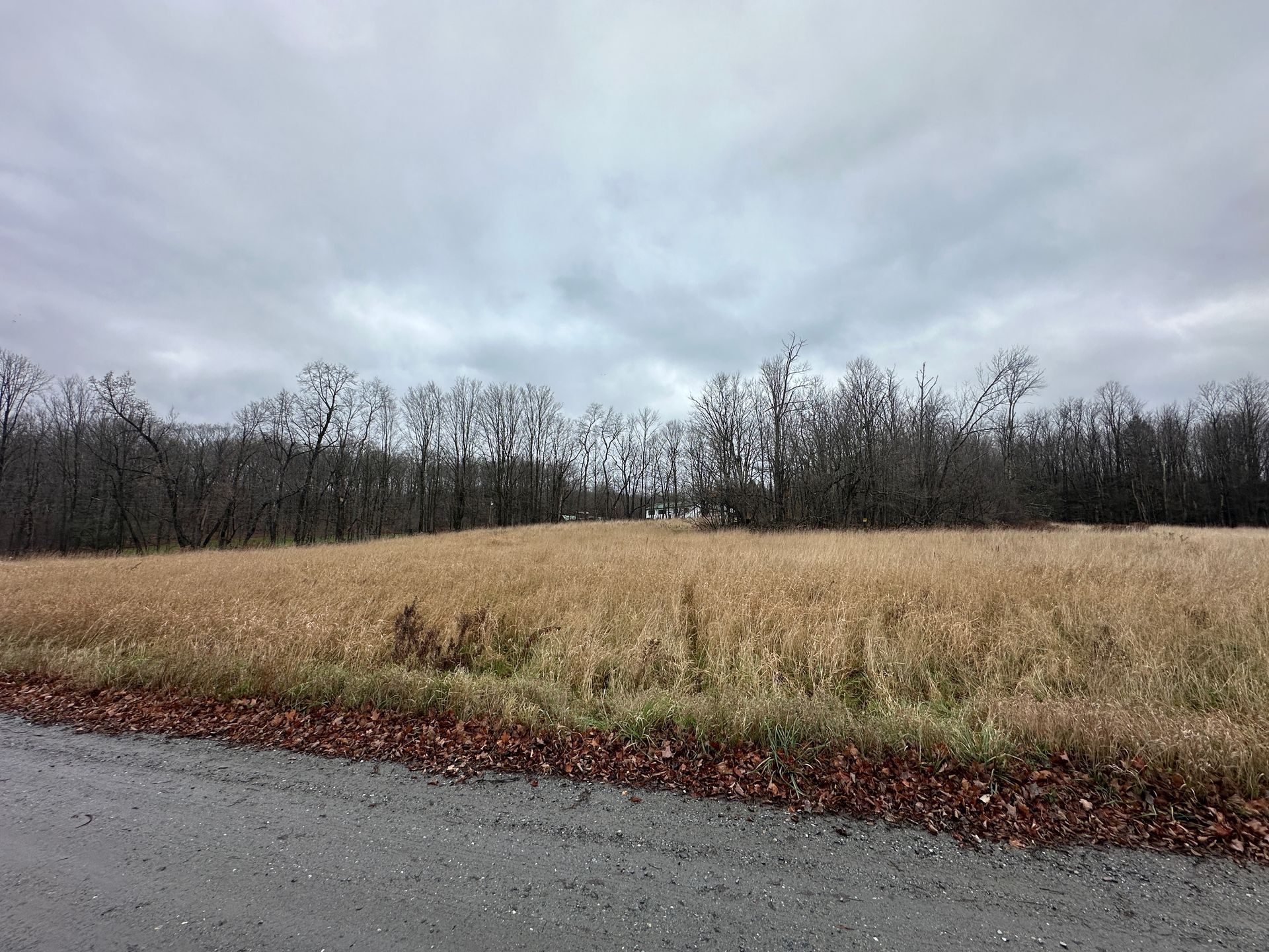 Buildable acreage in Vermont with privacy and space