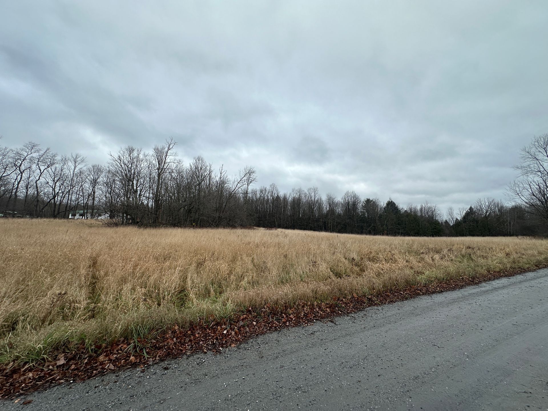 Vacant land lot in Fairfield VT ready for development