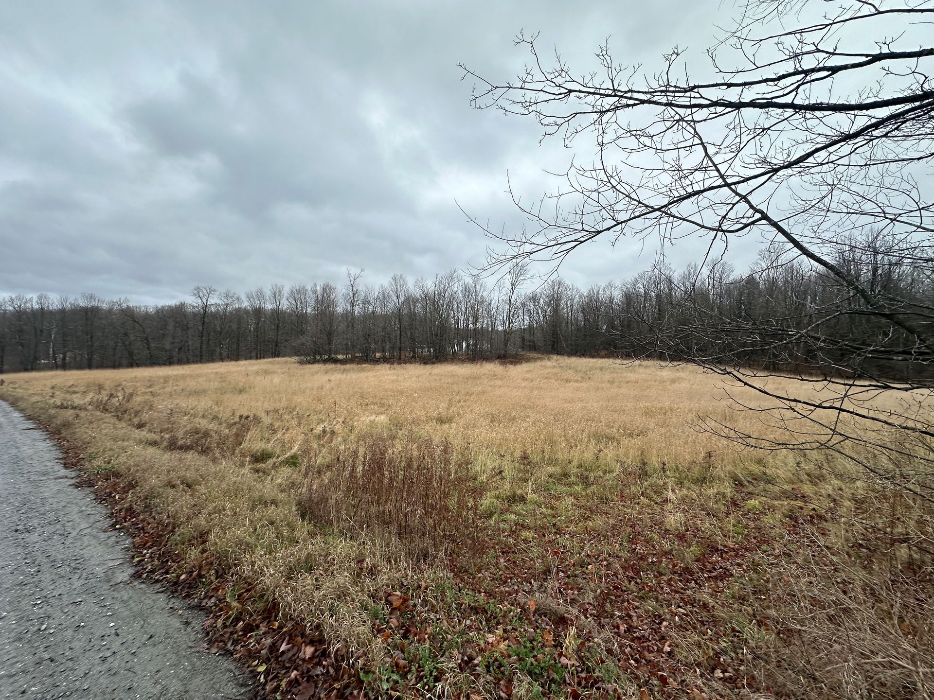 Land with open field and trees in Fairfield VT