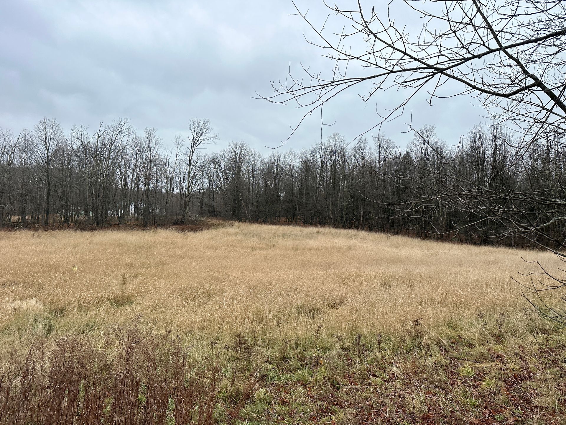 Quiet rural land parcel in Fairfield Vermont