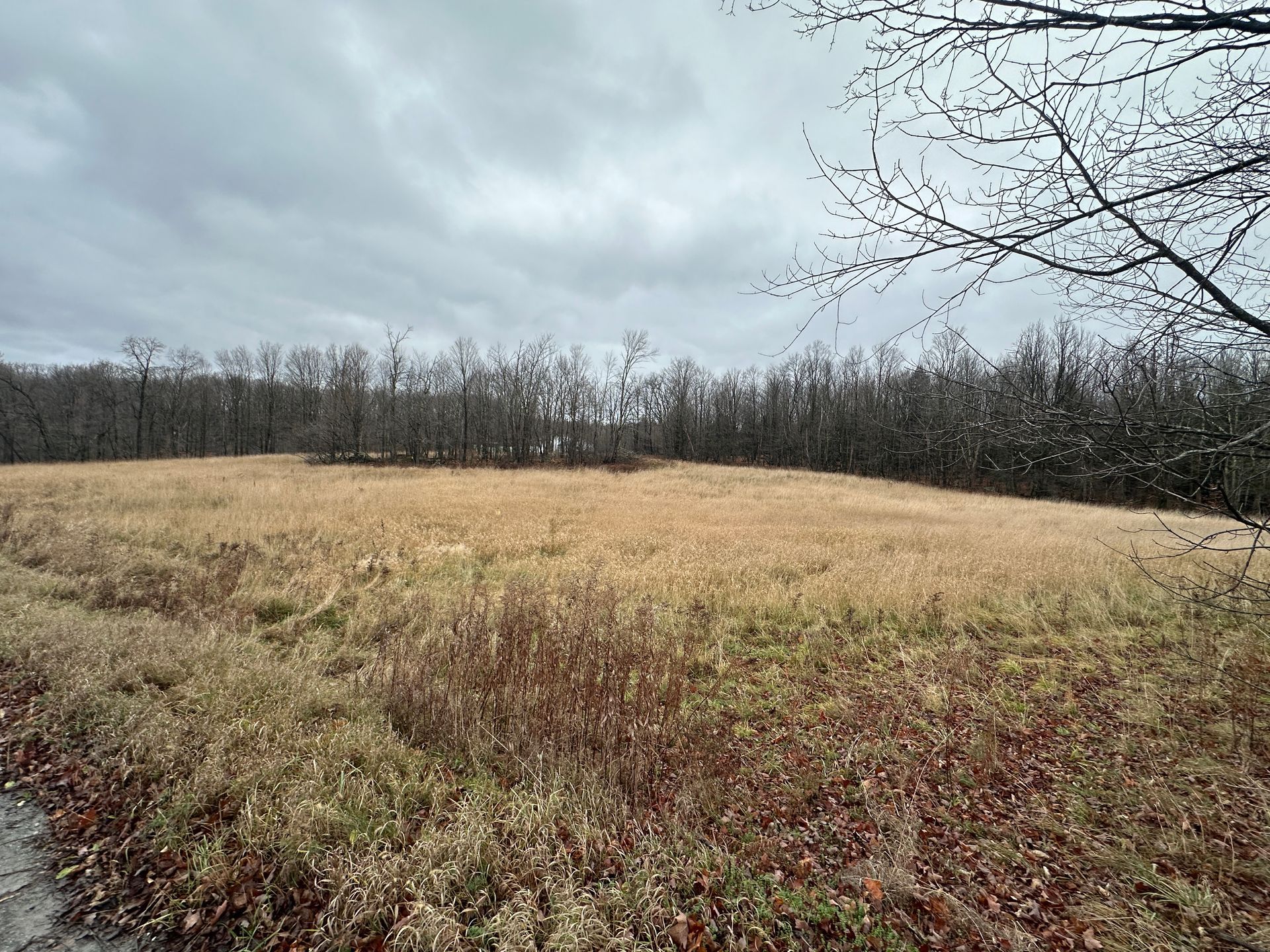 Investment land in northern Vermont with scenic views