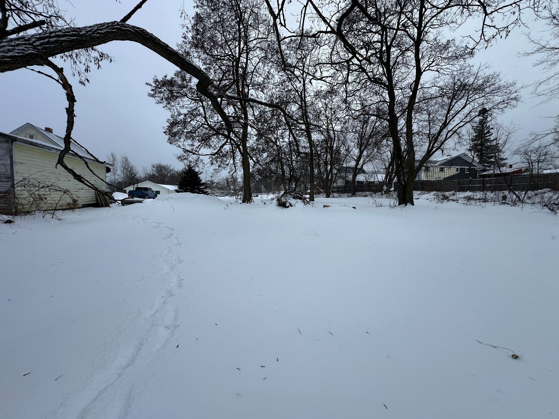 A snowy yard with bare trees, a house on the left, and a set of footprints leading into the distance.