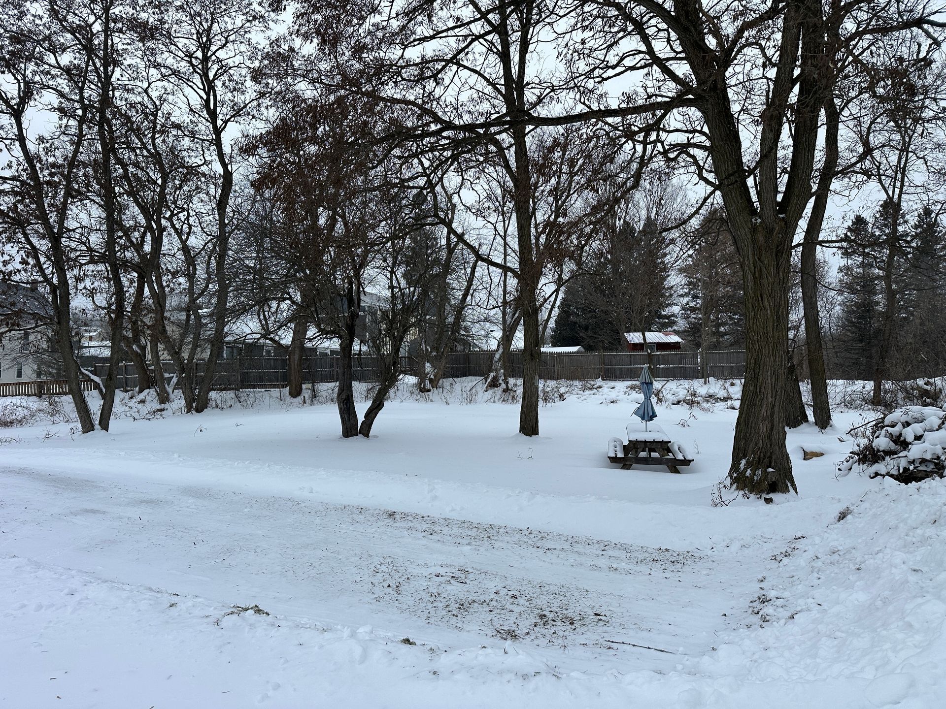 A snow-covered backyard featuring bare trees and a wooden picnic table with a blue umbrella under an overcast sky.