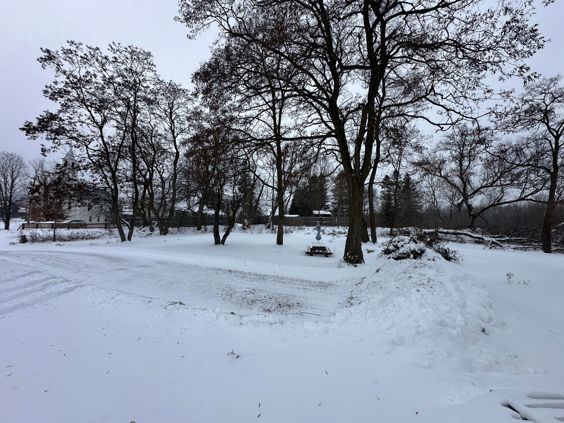 A snowy landscape featuring several bare trees and a house in the distance under a grey, overcast sky.