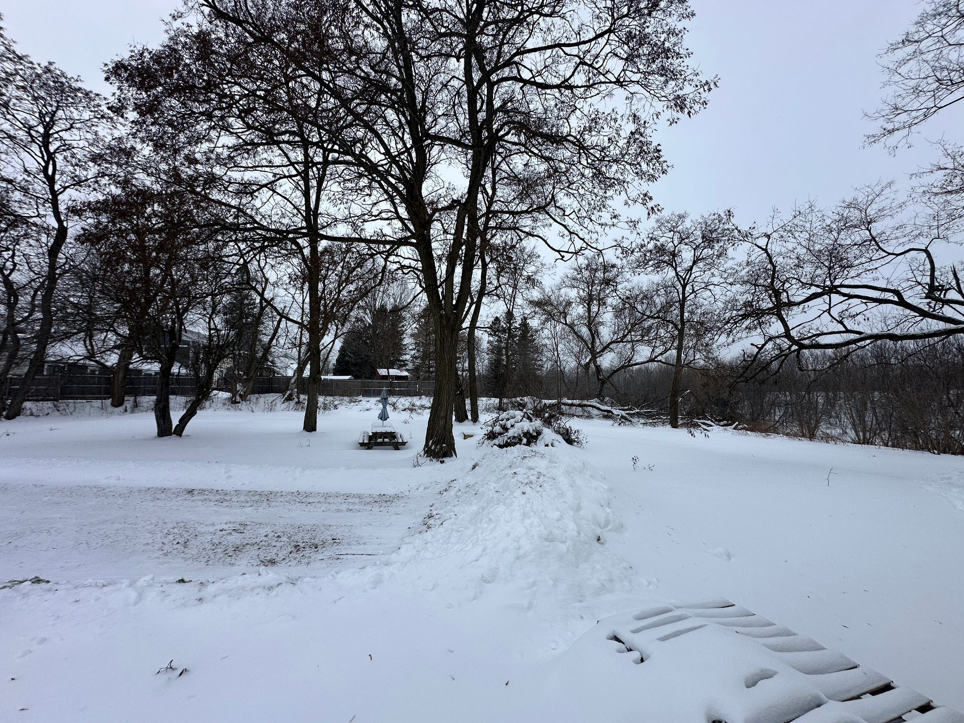 A snow-covered yard with bare trees under a cloudy sky, featuring a small structure near the center.