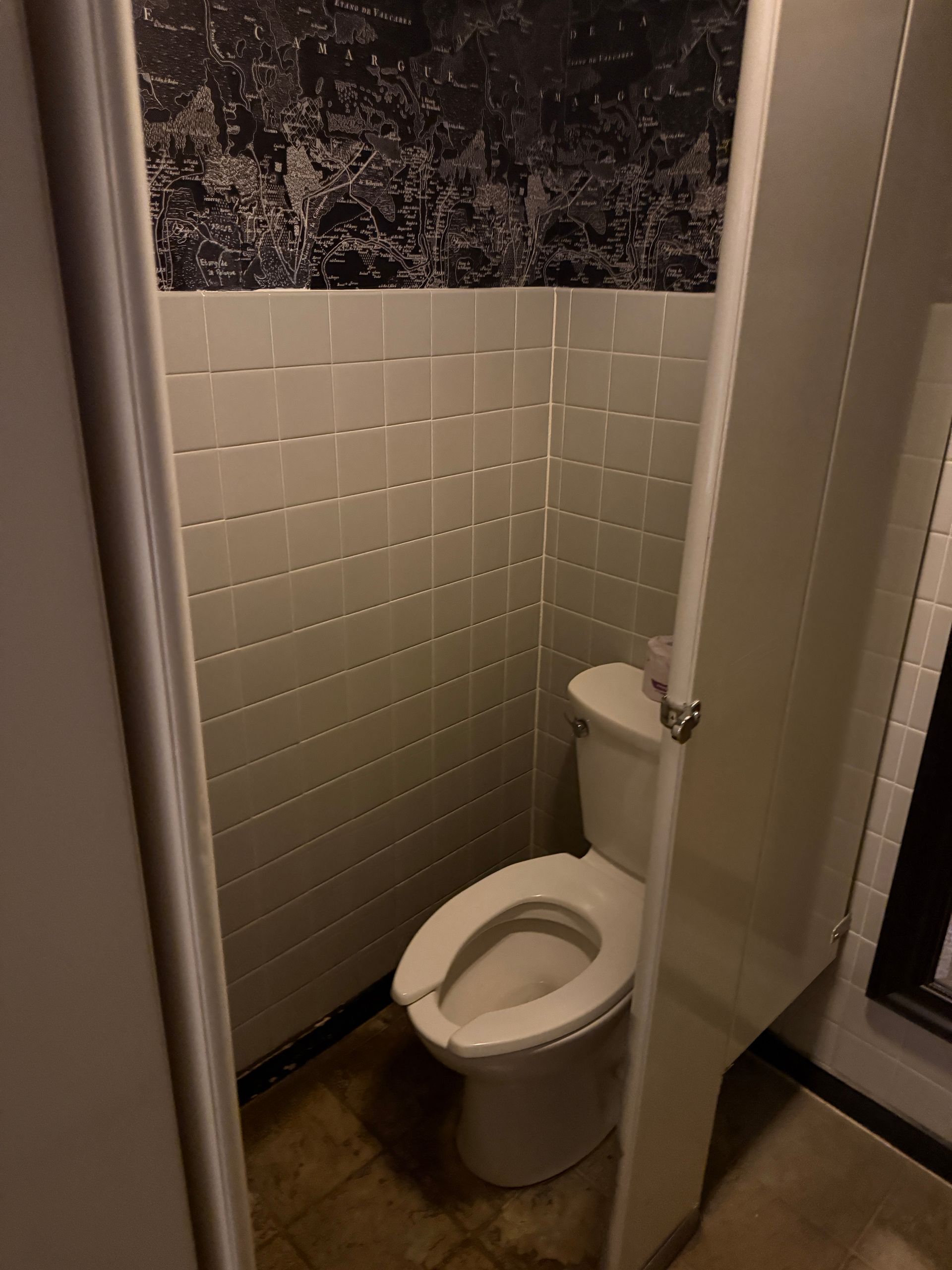 Small restroom with a white toilet in a narrow stall, tiled walls, and a dark speckled upper wall.
