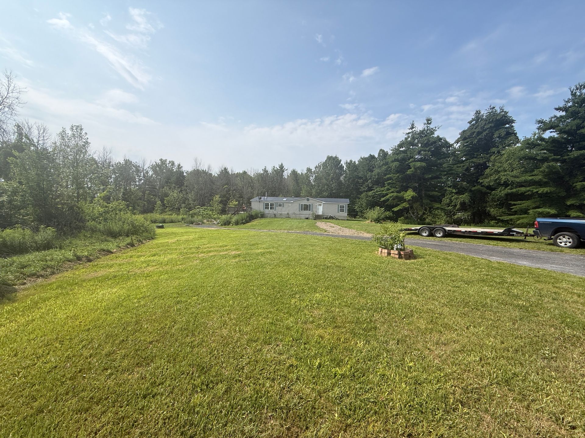 Sunny grassy yard with a small white house in the distance and trees along the edge