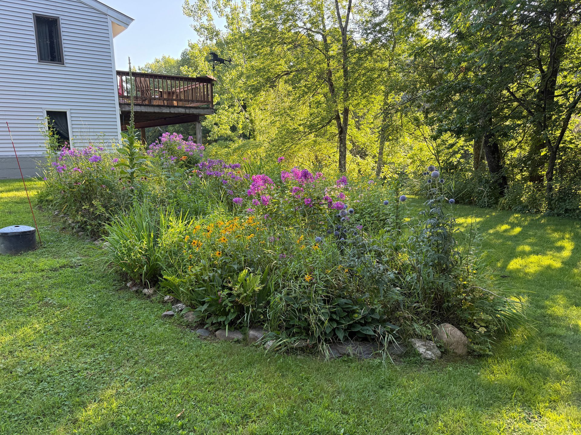Colorful wildflower garden beside a white house with a wooden deck, under bright green trees.