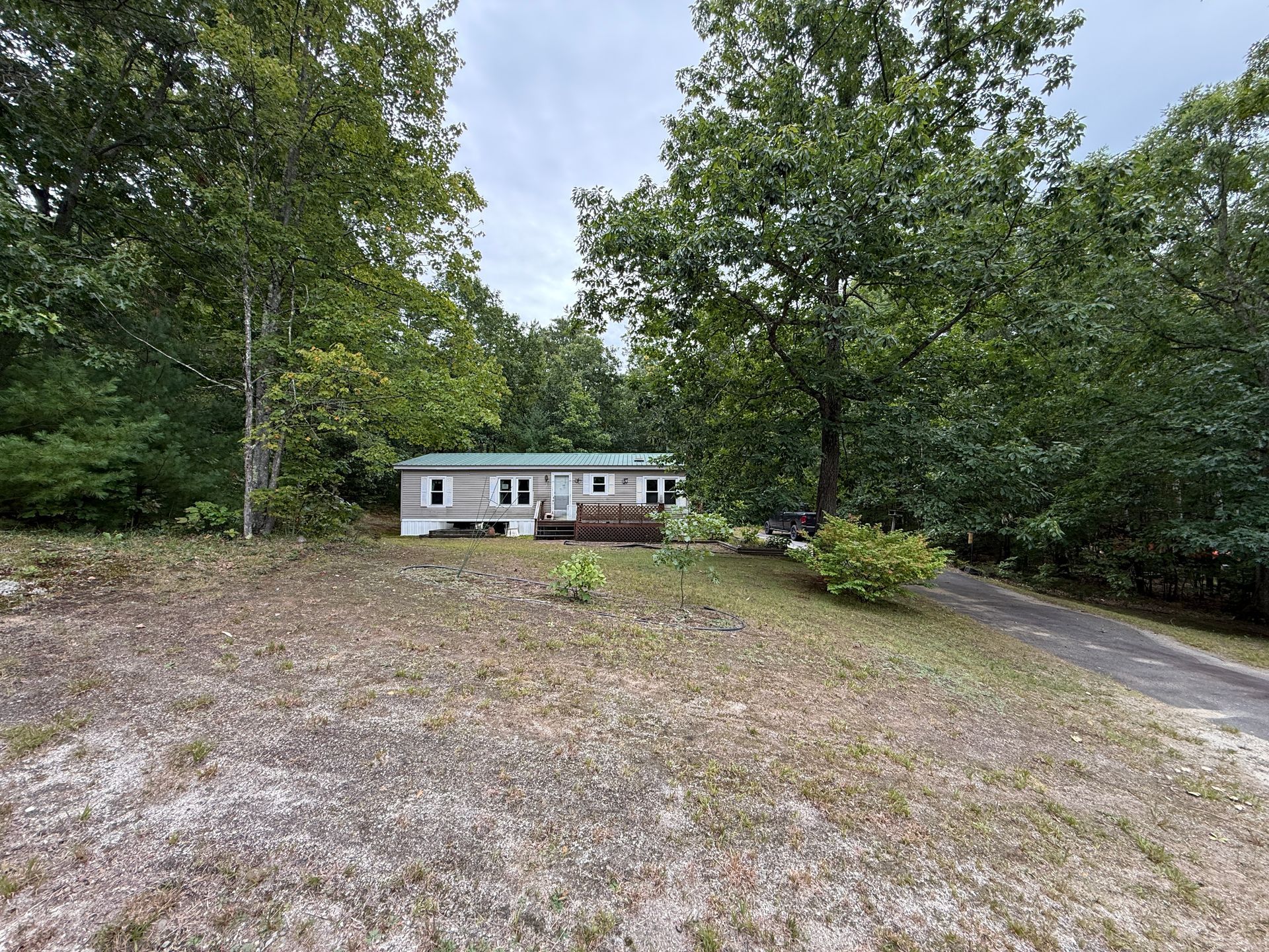 Small white house in a wooded clearing beside a gravel driveway
