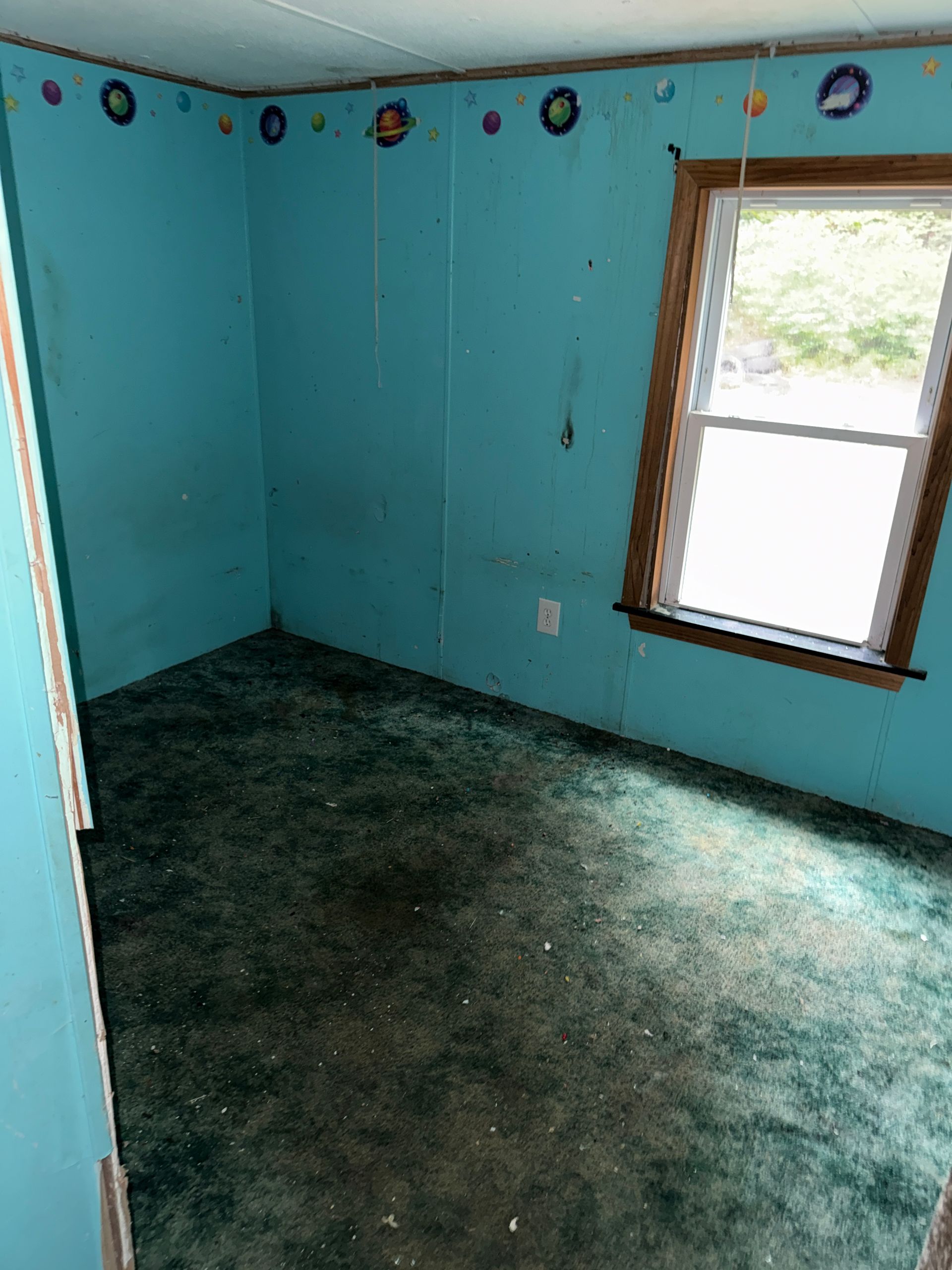 Empty turquoise room with dark green carpet and a window letting in daylight.