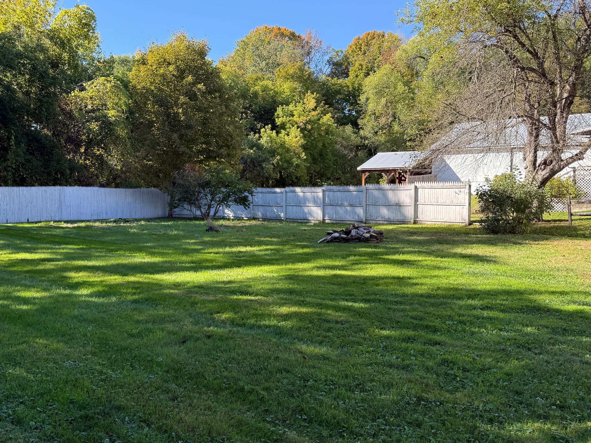 Sunny backyard with green grass, white fence, trees, and a small shed under a clear blue sky