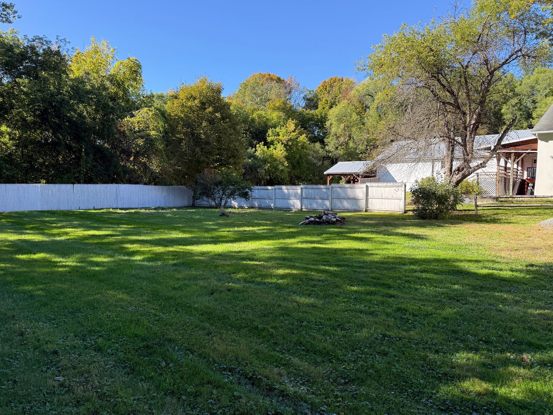 Sunny backyard with green lawn, white fence, trees, and a house in the background