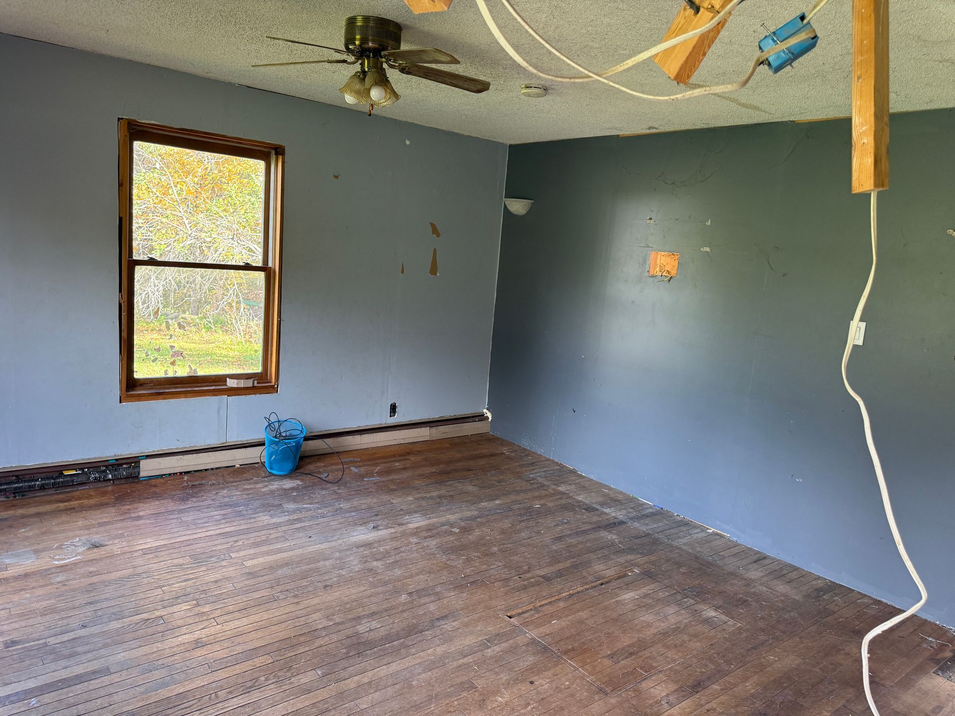Empty room with blue walls, bare wooden floor, ceiling fan, and window light