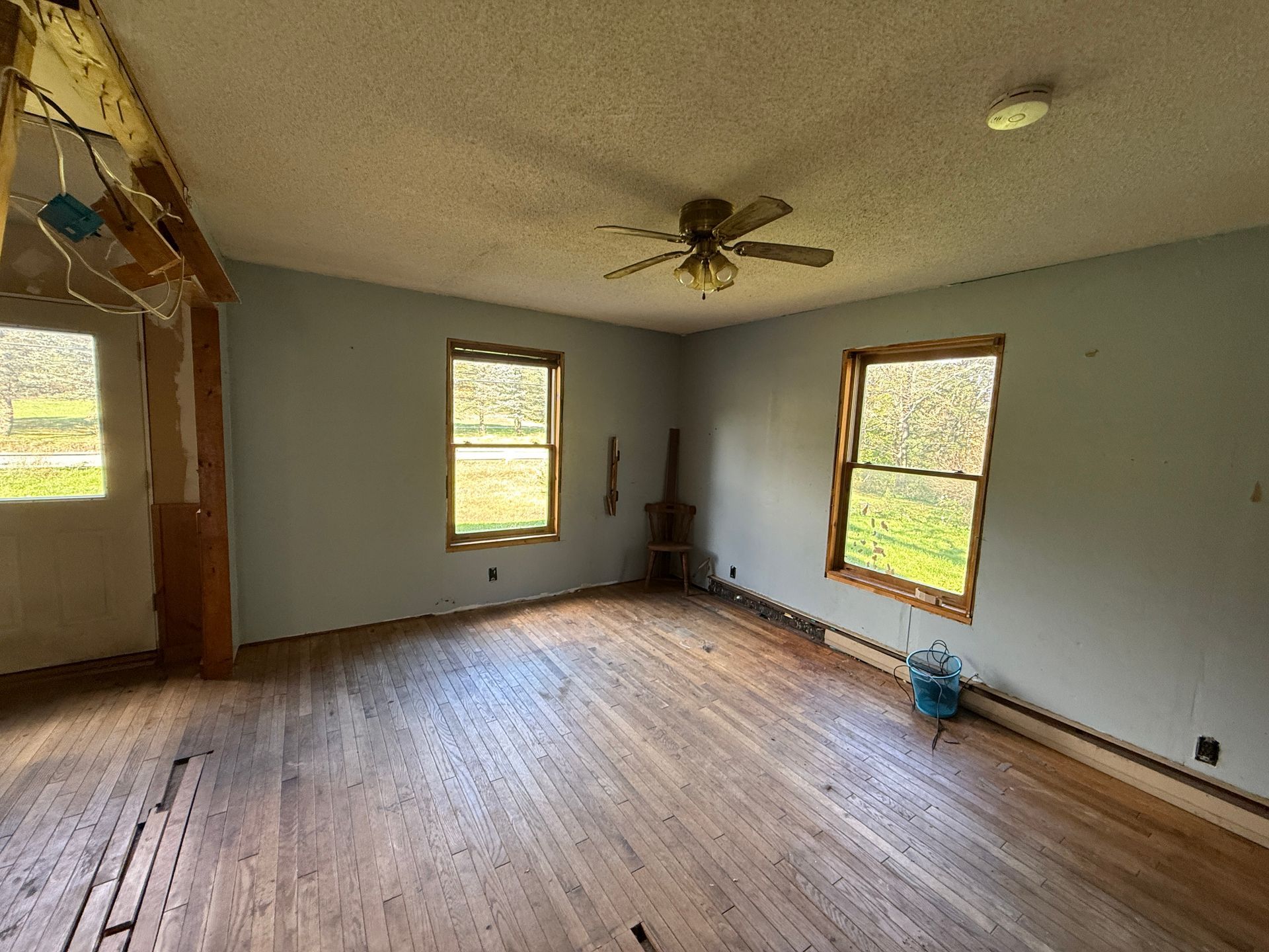 Empty living room with gray walls, hardwood floors, three windows, and a ceiling fan.