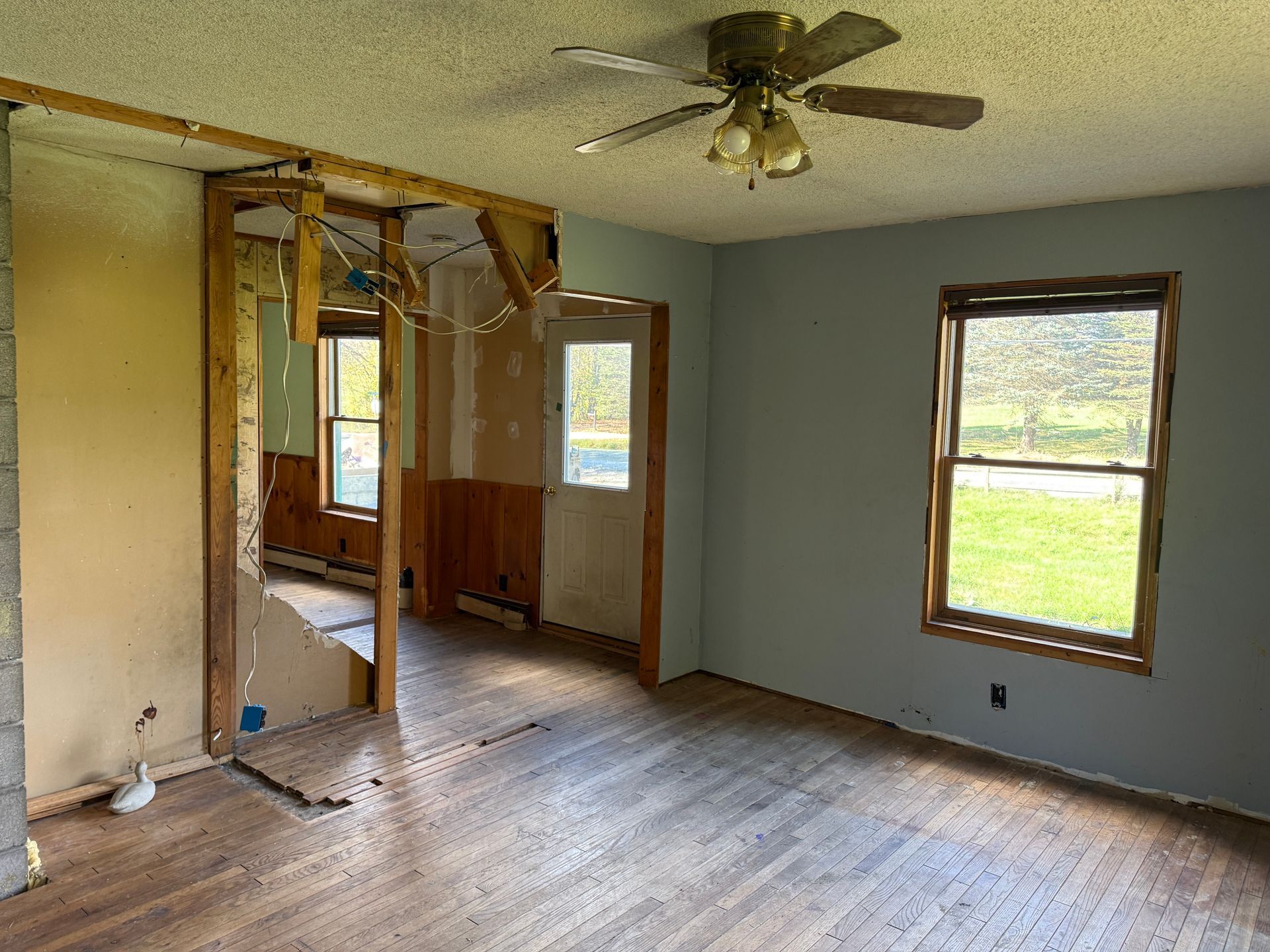 Empty room with blue walls, wood floors, a ceiling fan, and several windows overlooking grass.