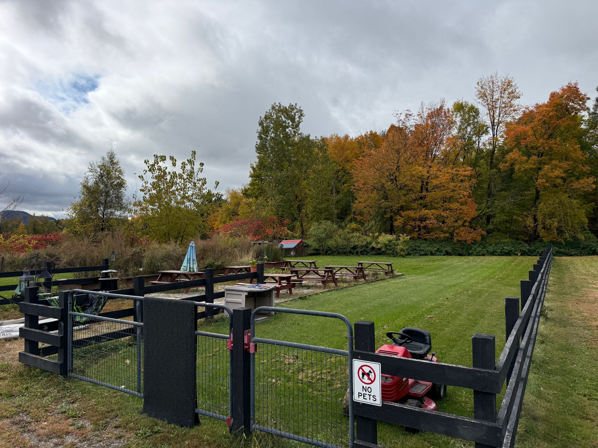 Small fenced grassy field with a red machine, black posts, and autumn trees under a cloudy sky