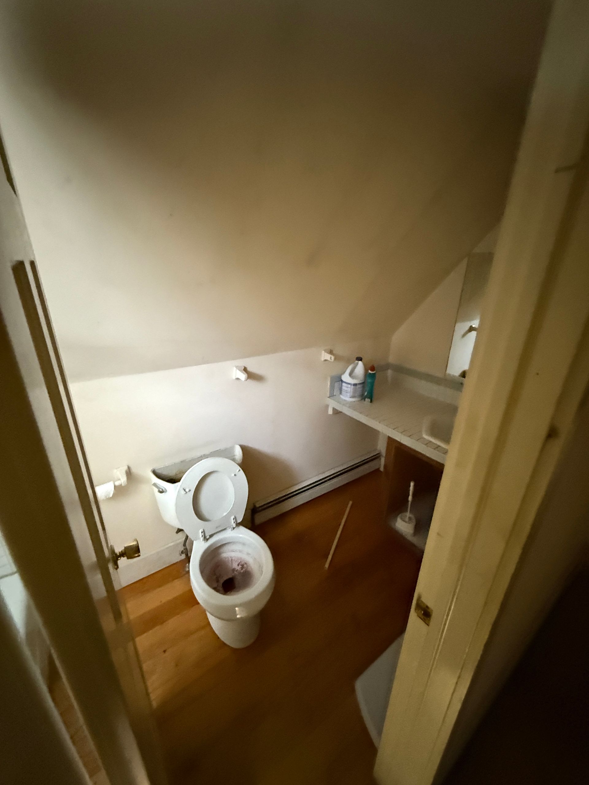 Small bathroom with slanted ceiling, toilet, sink, and wood floor.