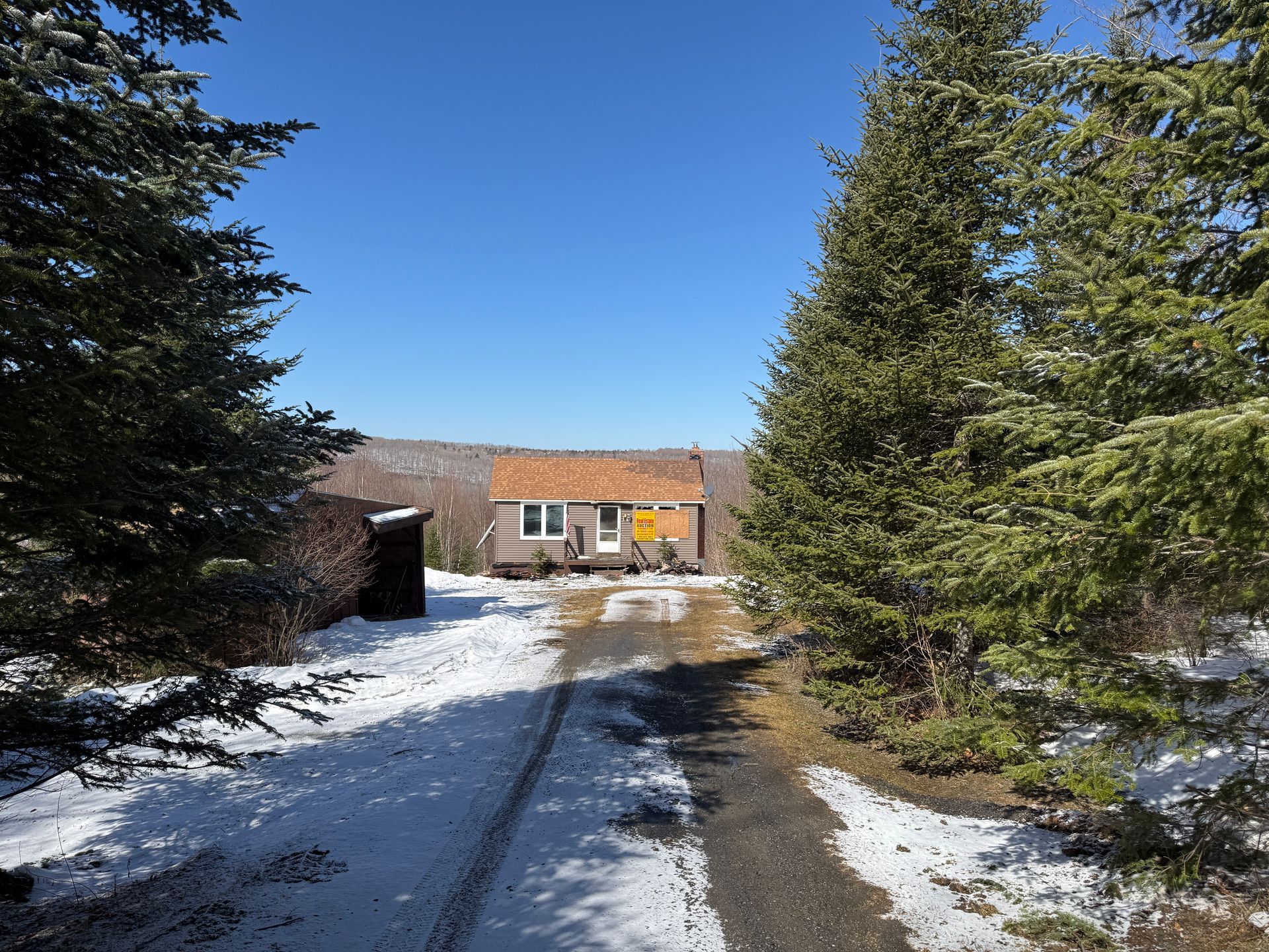 Snowy road leads to a small cabin in a forest on a sunny day.