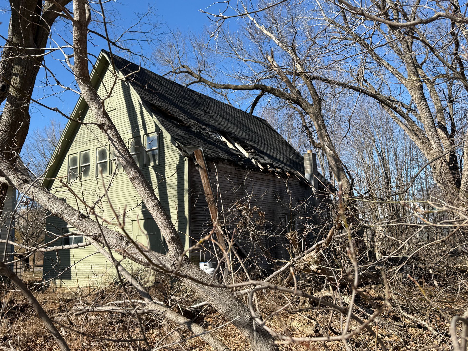 Green A-frame house among bare trees on a sunny day.