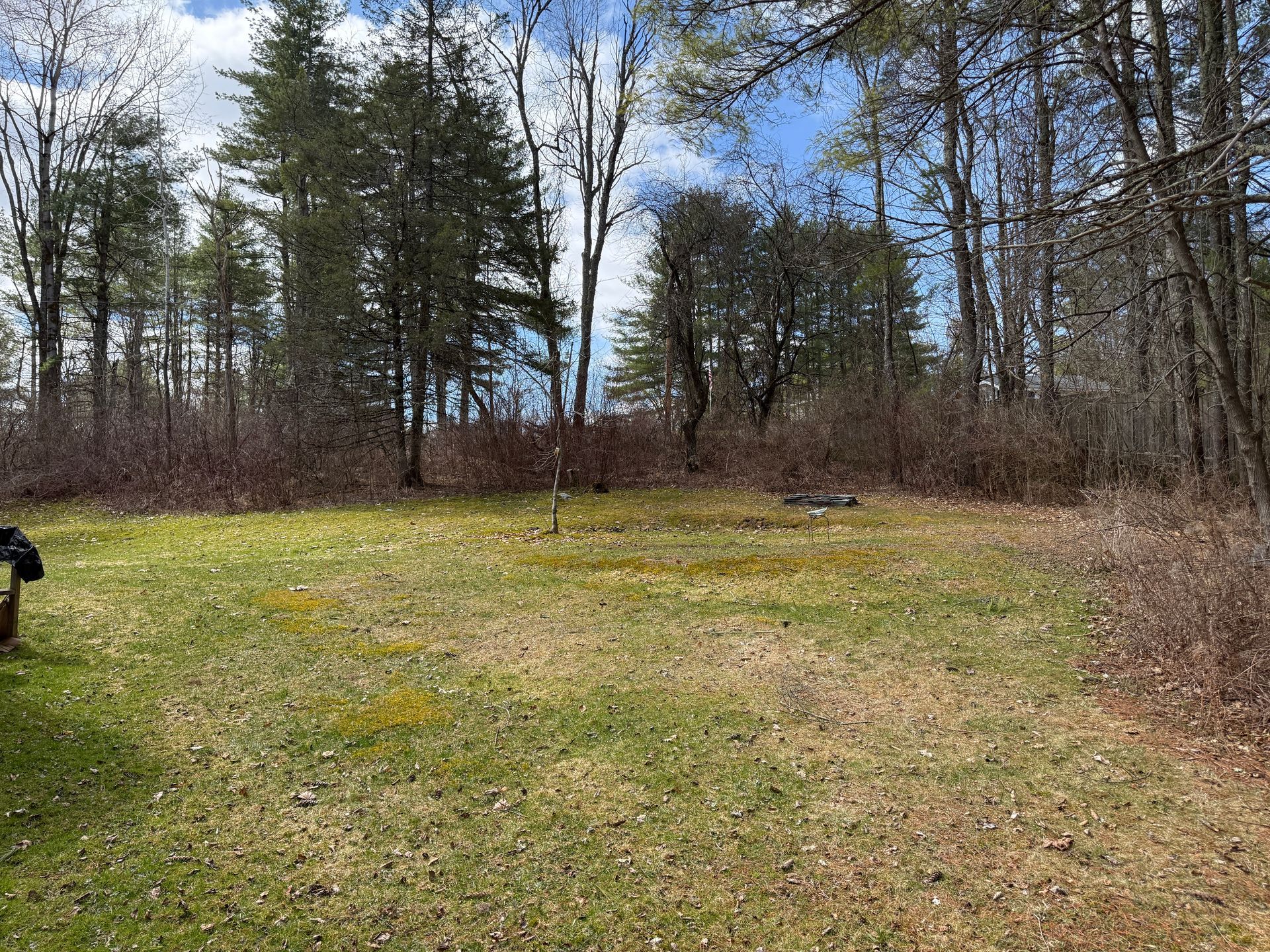 Grassy area with trees in the background under a blue sky.