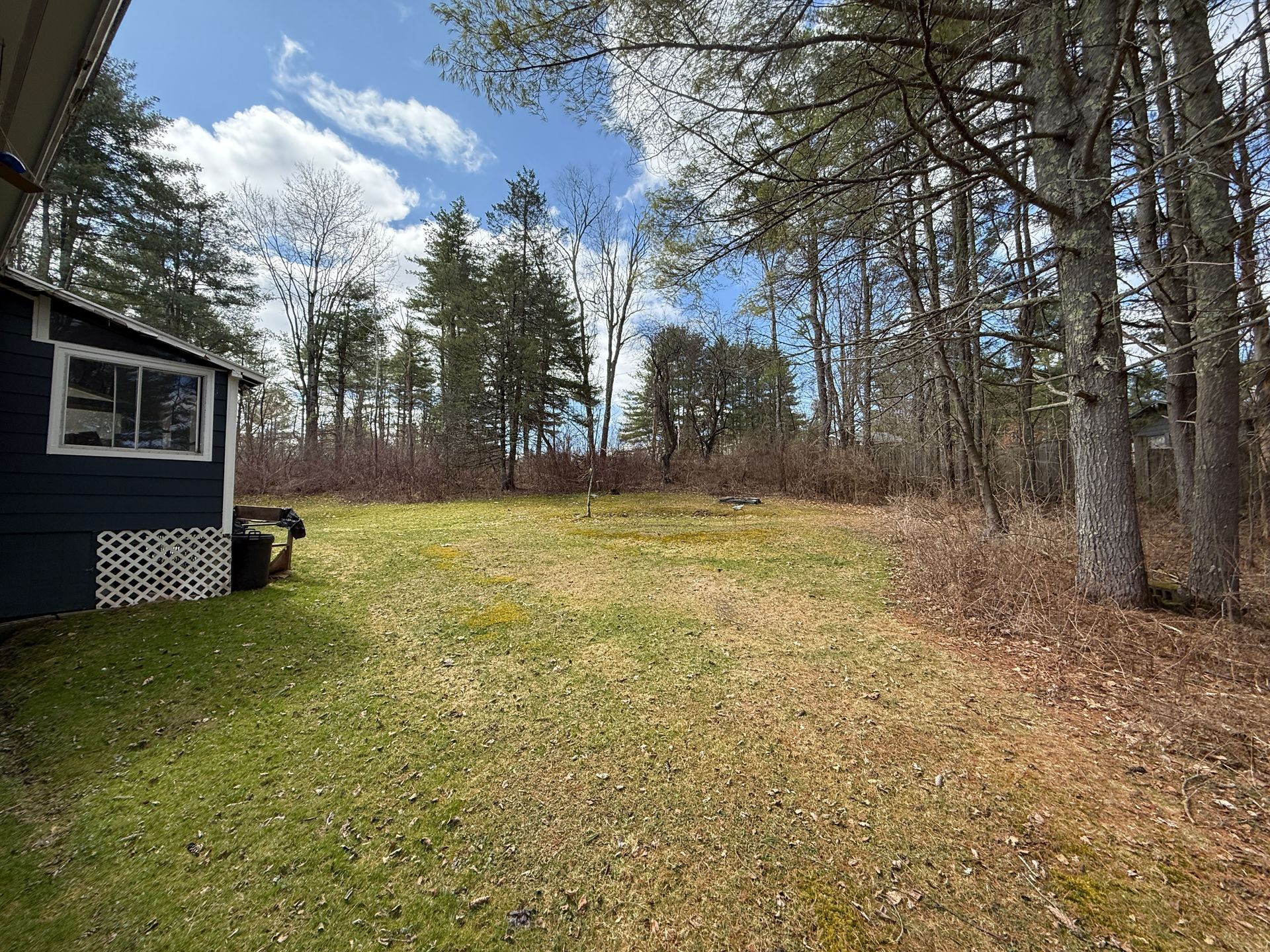 Grassy yard with a dark blue house on the left, trees in the background, and a bright sky.